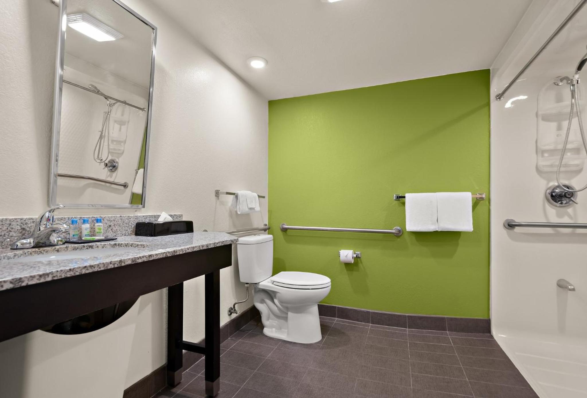 Business Room with Queen Bed Disability Access Roll-In Shower Non-Smoking - Photo 3