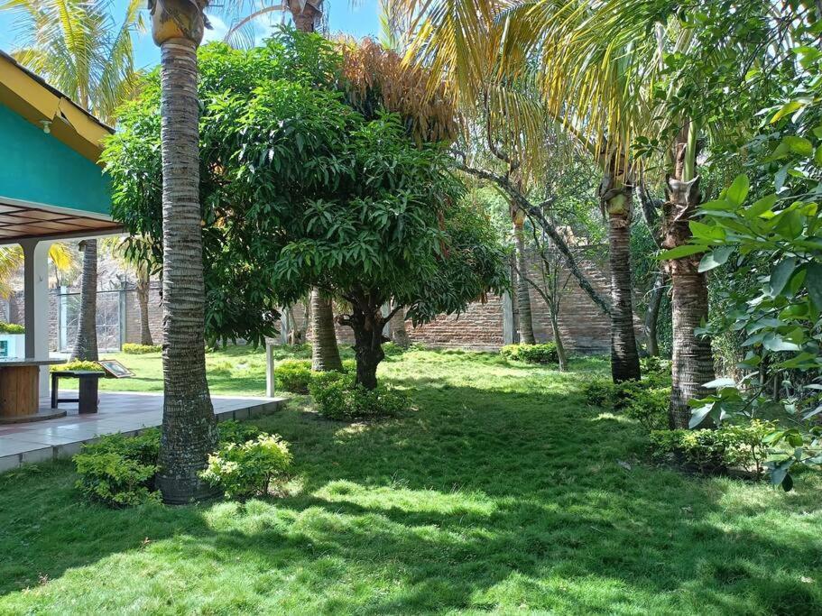 Three-Bedroom House photo 2