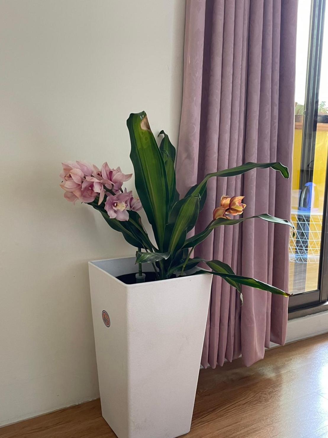 Double Room with Balcony photo 2