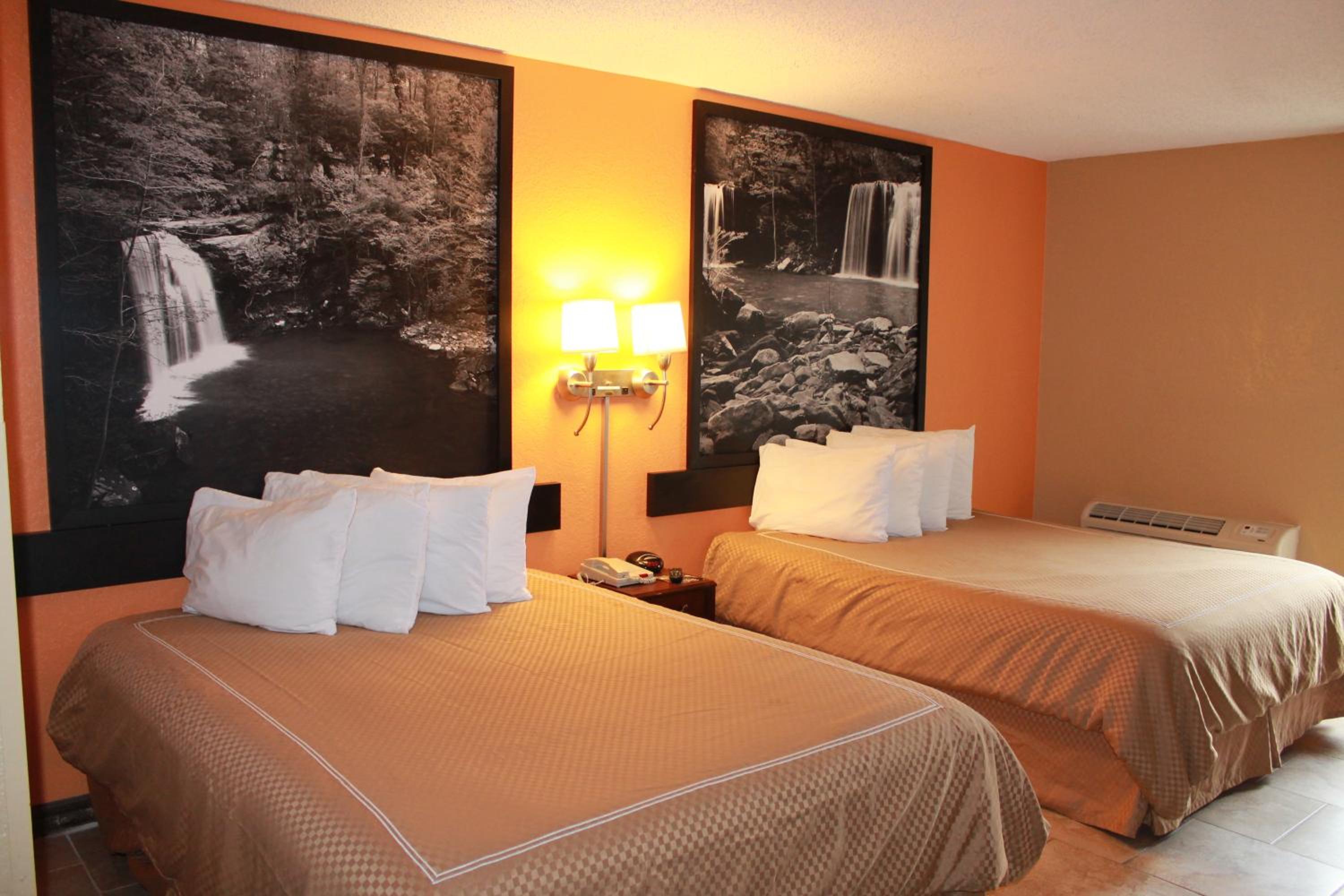 Standard Double Room - Photo 2