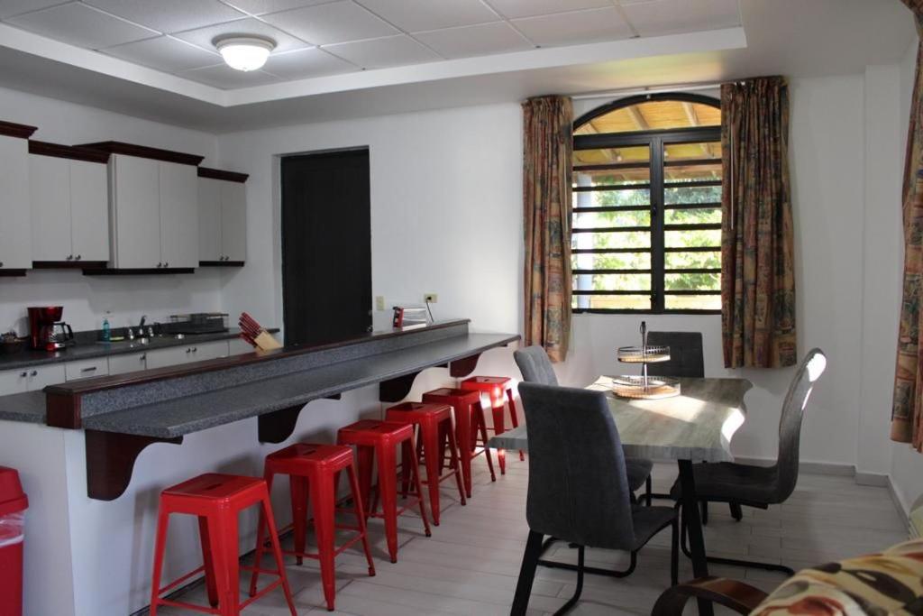 Apartment with Terrace photo 3