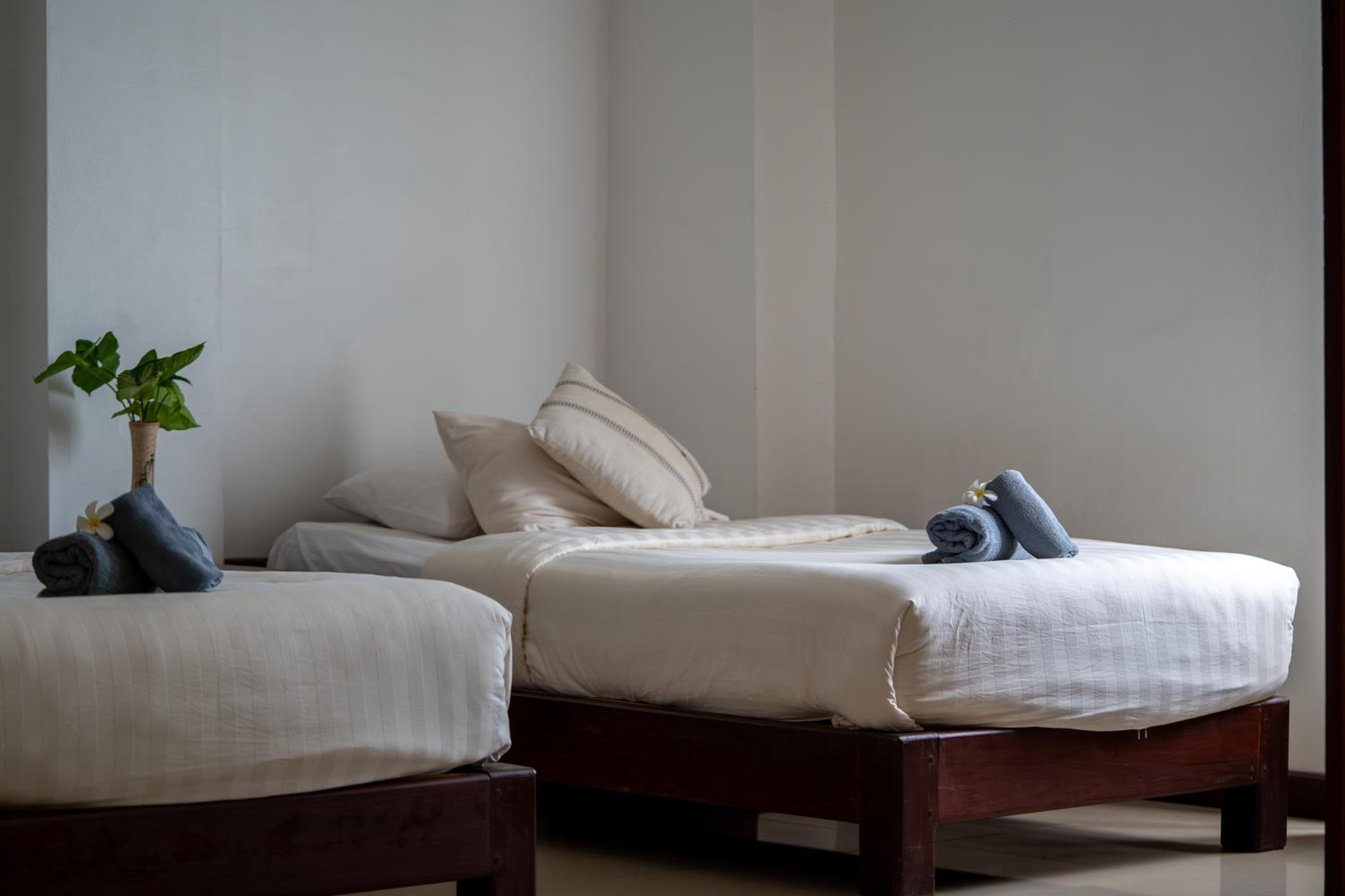 Standard Twin Room without View - Photo 1