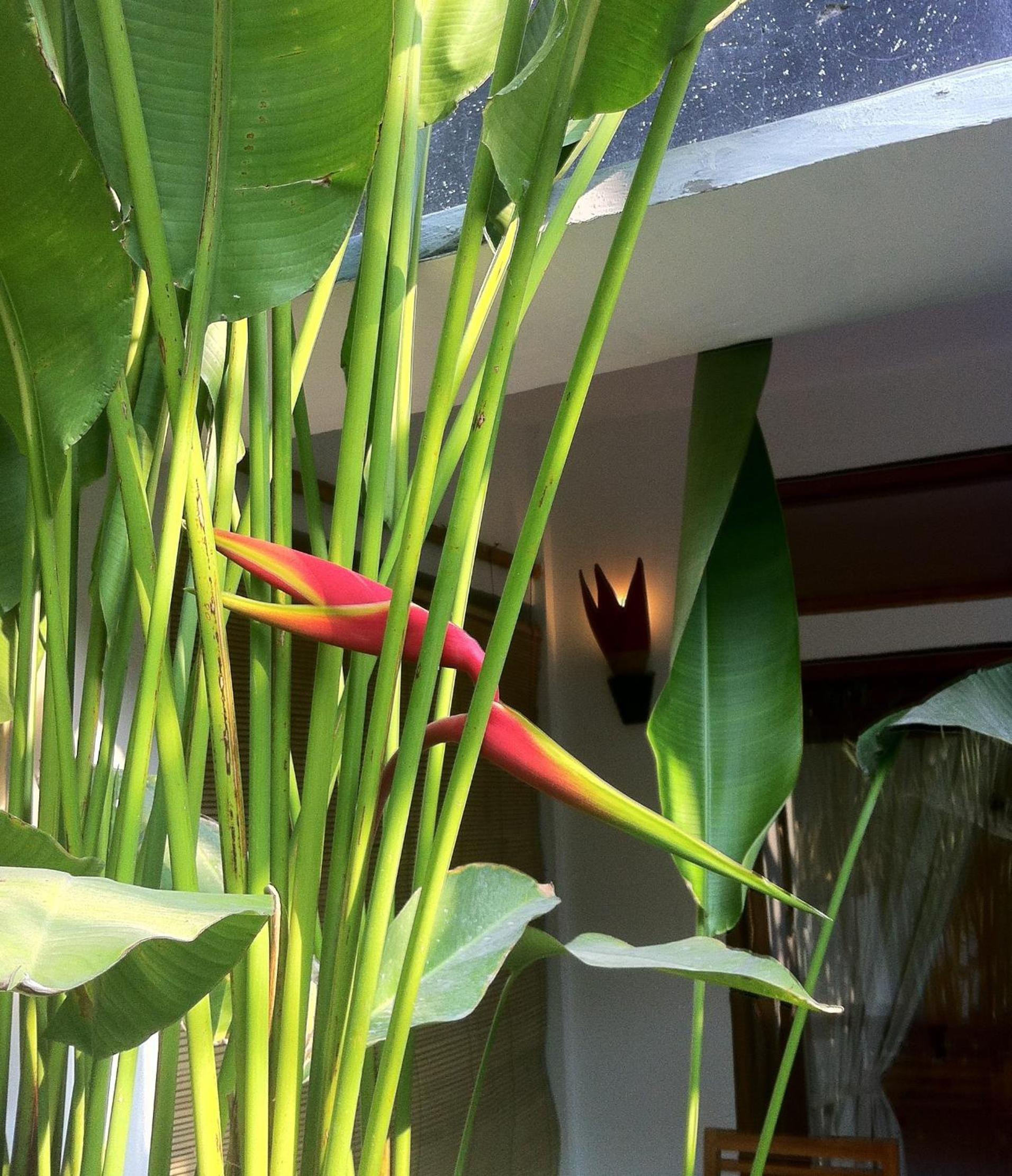 Double Room with Garden View - Photo 6