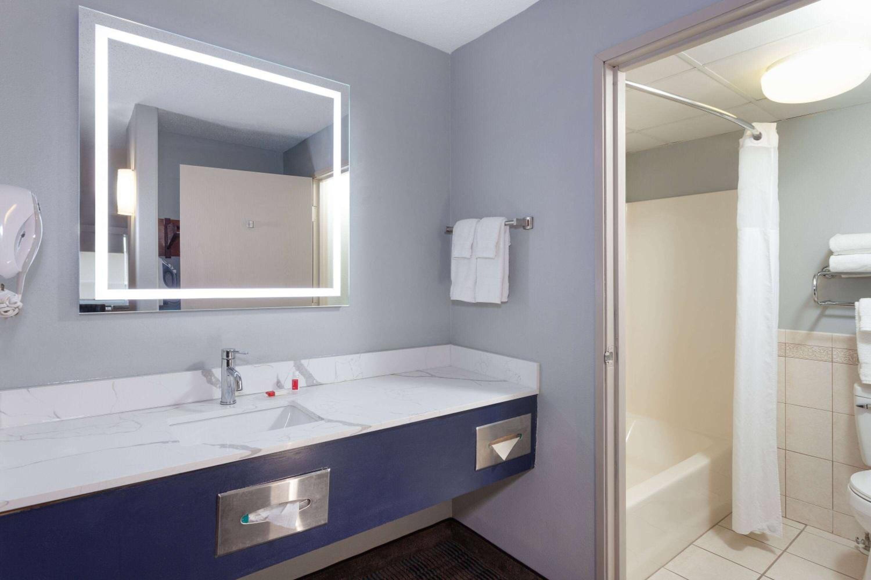One-Bedroom Efficiency King Suite - Non-Smoking photo 3