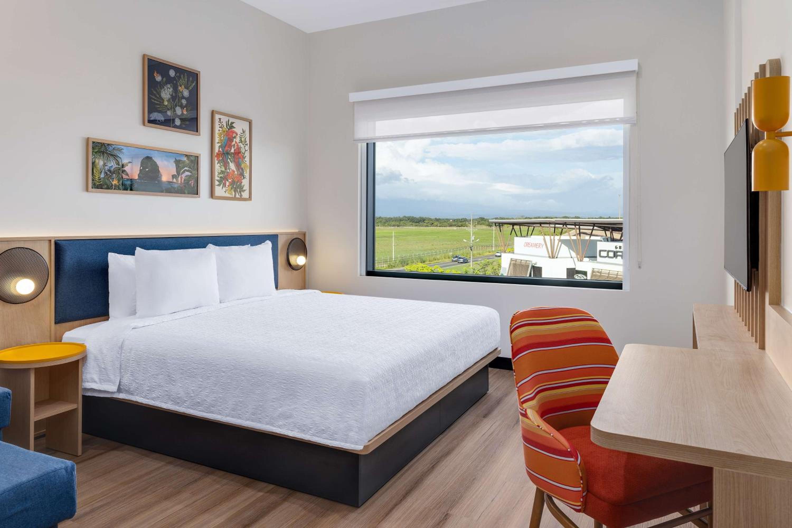 King Room with Roll-In Shower - Mobility Accessible