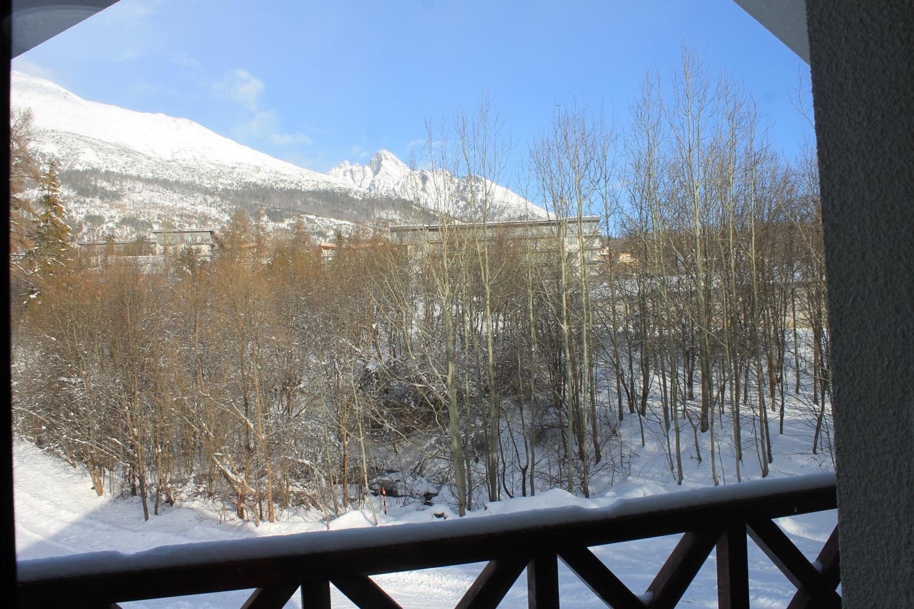 Apartment with Mountain View photo 3