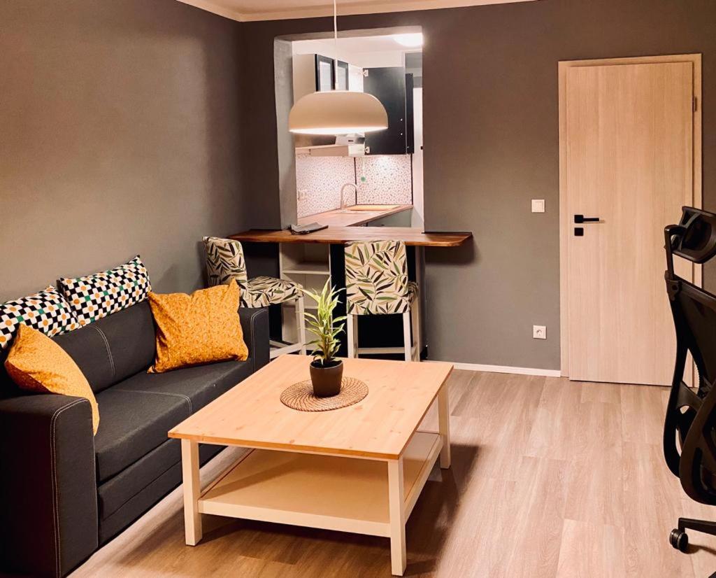 Deluxe Apartment