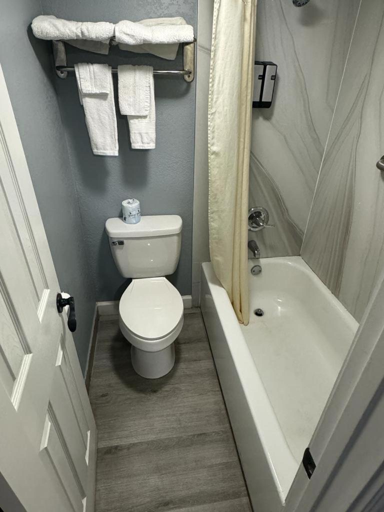 King Room photo 2