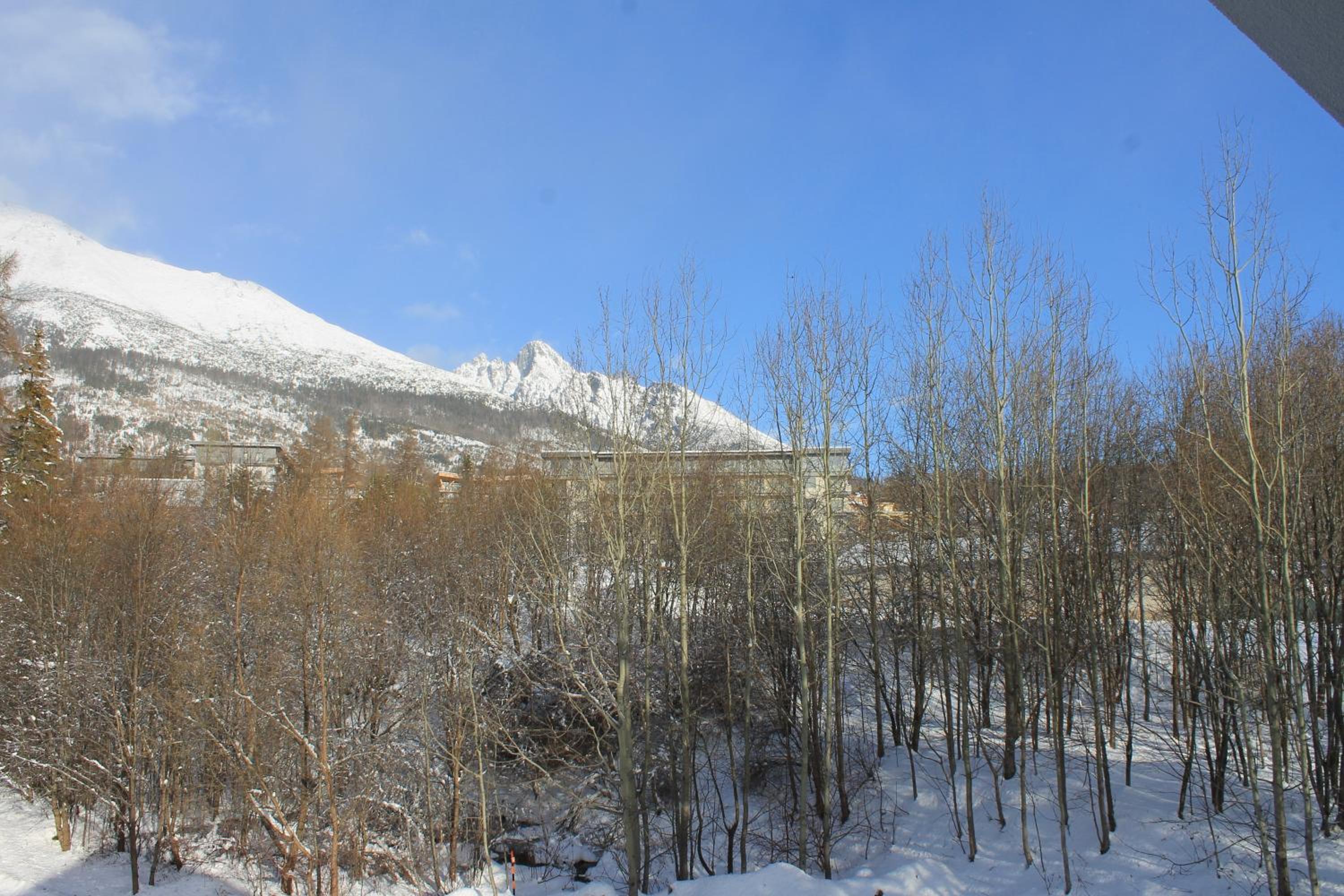 Apartment with Mountain View photo 2