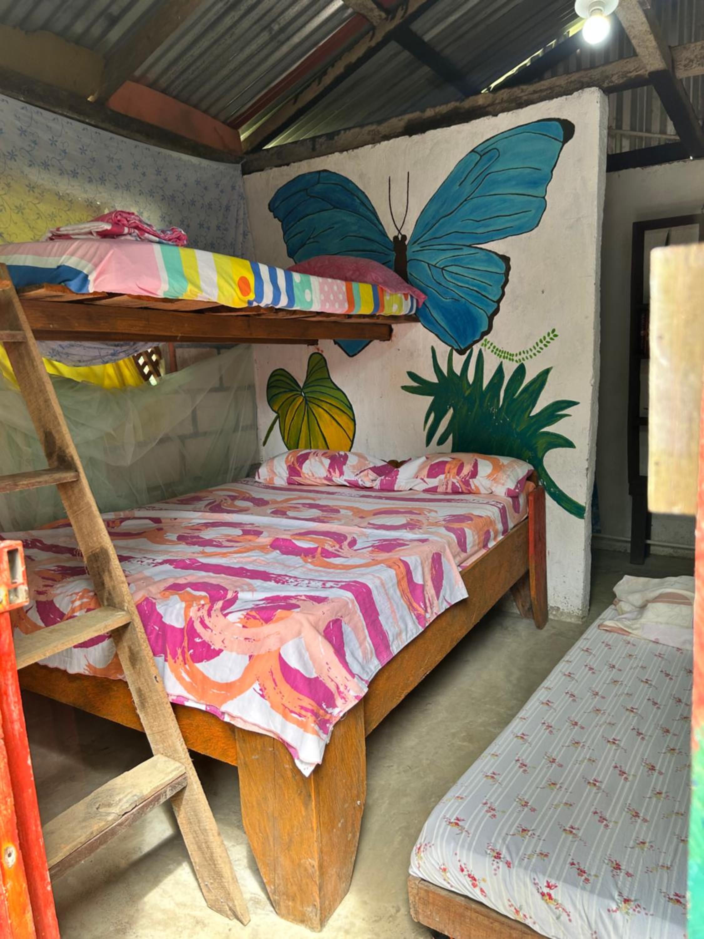 Standard Quadruple Room photo 1