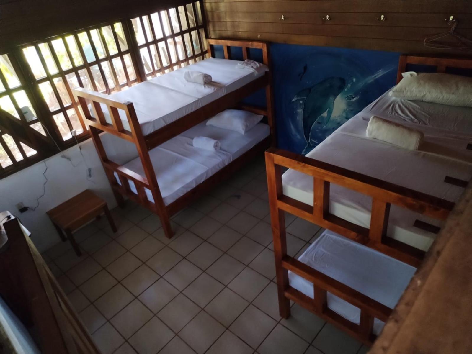 Bed In 4-Bed Mixed Dormitory Room photo 3