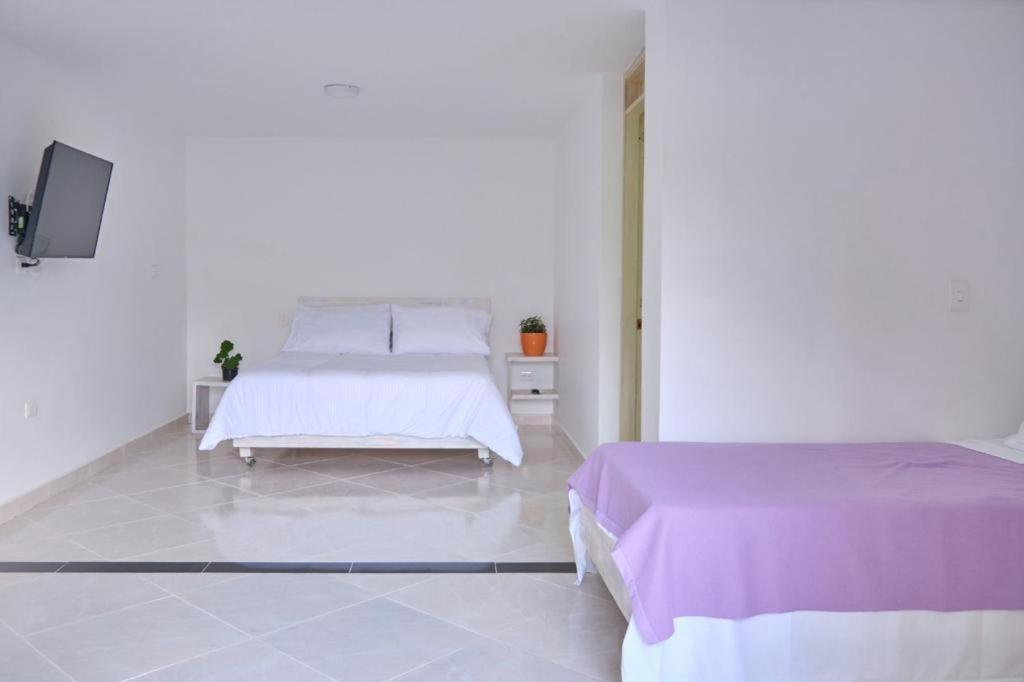 Standard Double or Twin Room photo 1