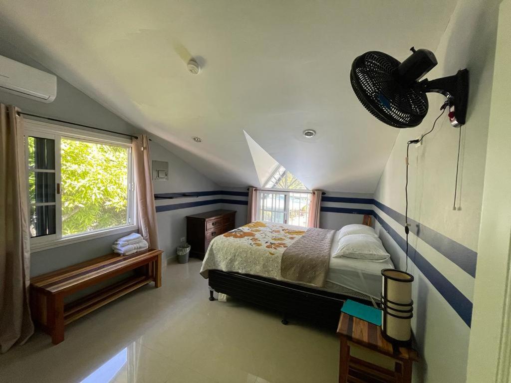 Standard Queen Room photo 2