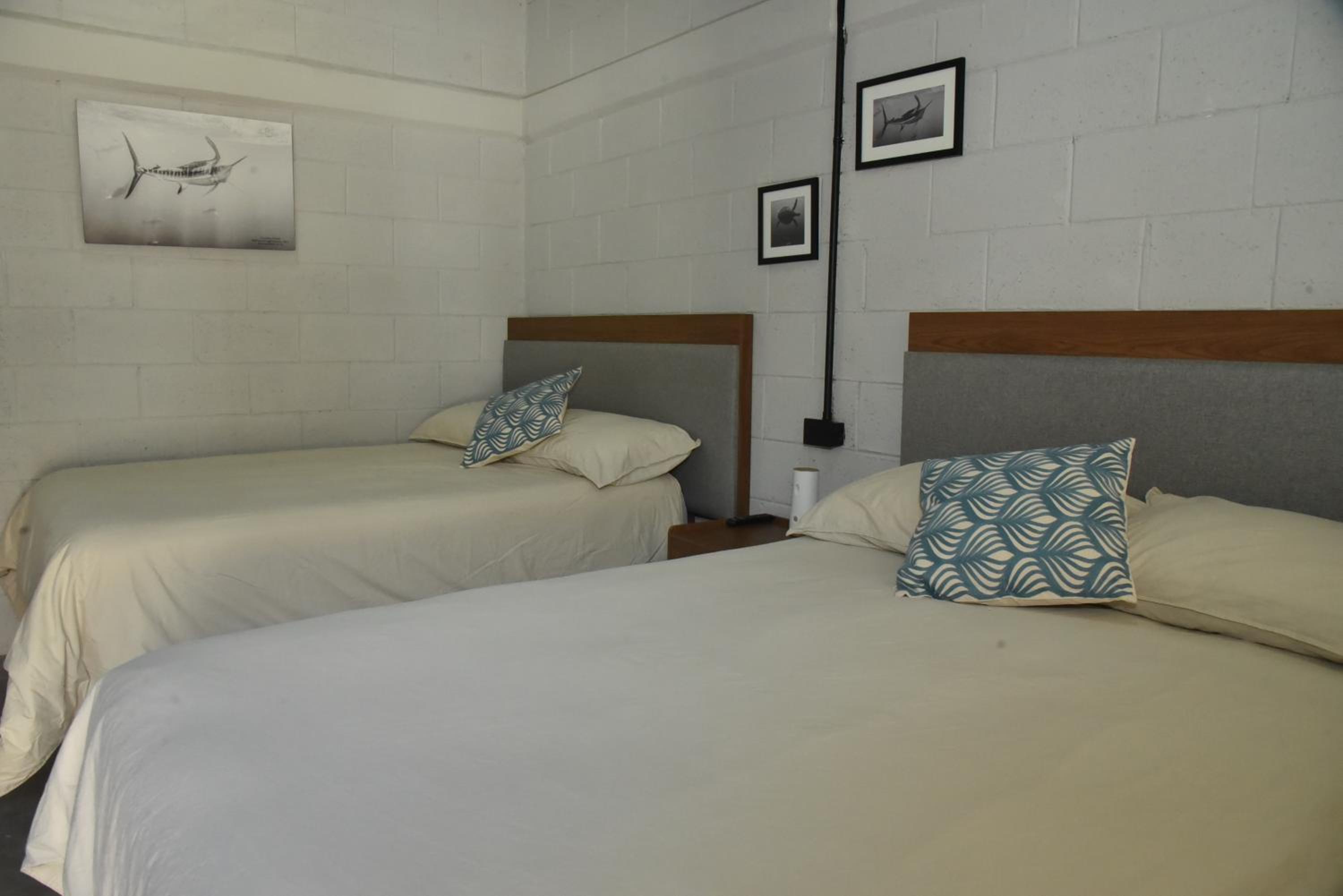 Deluxe Twin Room - Photo 3