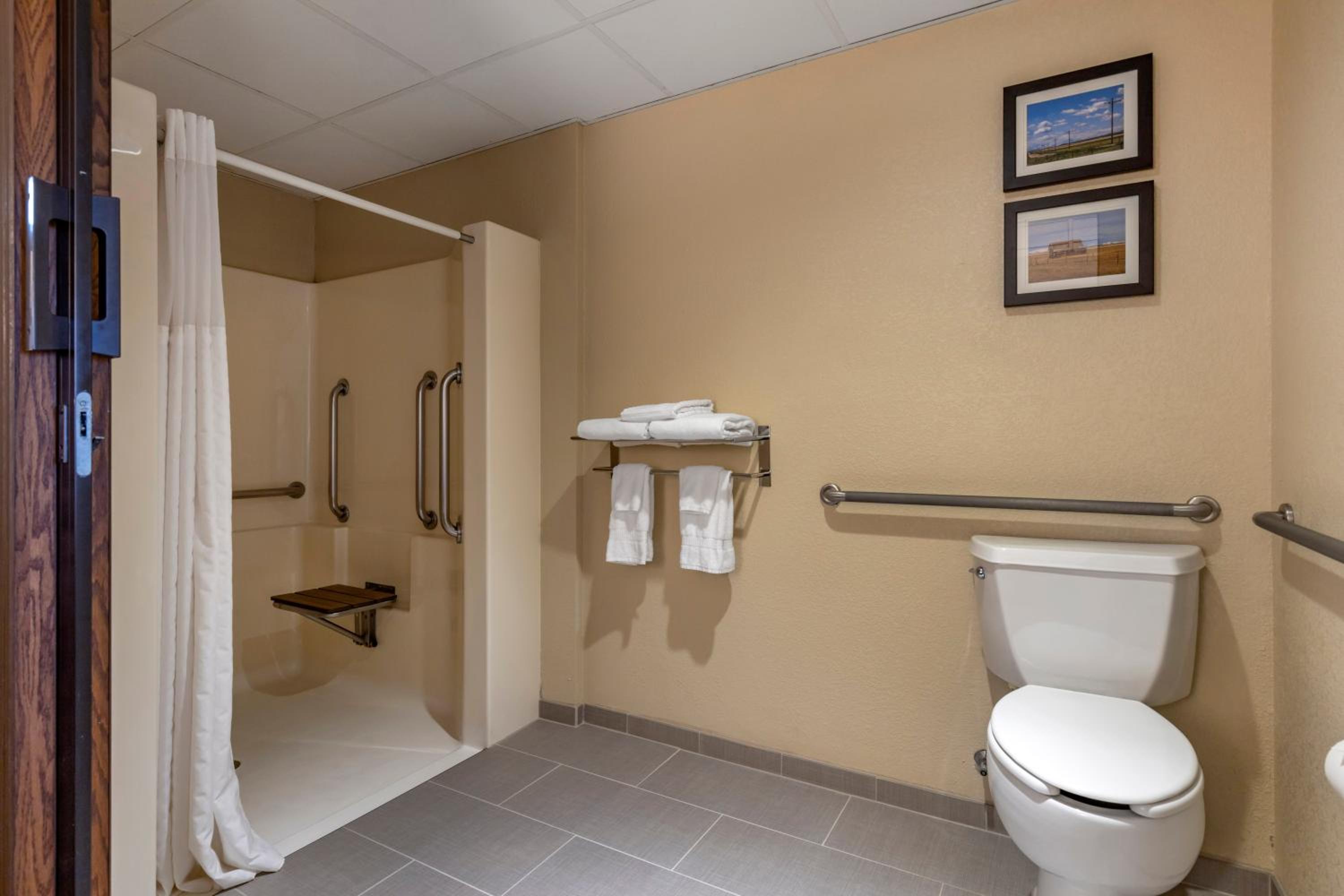 Standard Queen Room with Roll-In Shower - Accessible/Non-Smoking - Photo 3