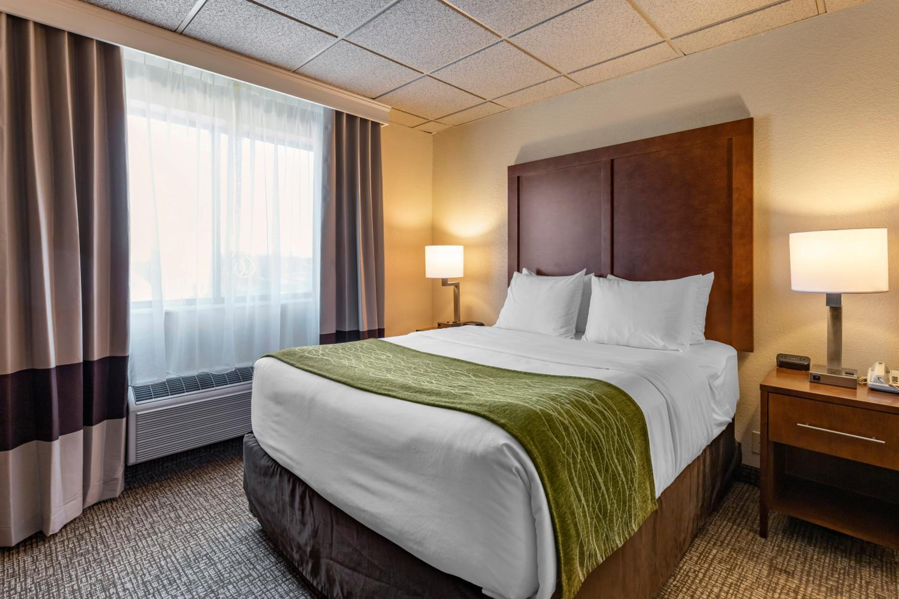 Standard Queen Room with Roll-In Shower - Accessible/Non-Smoking - Photo 1