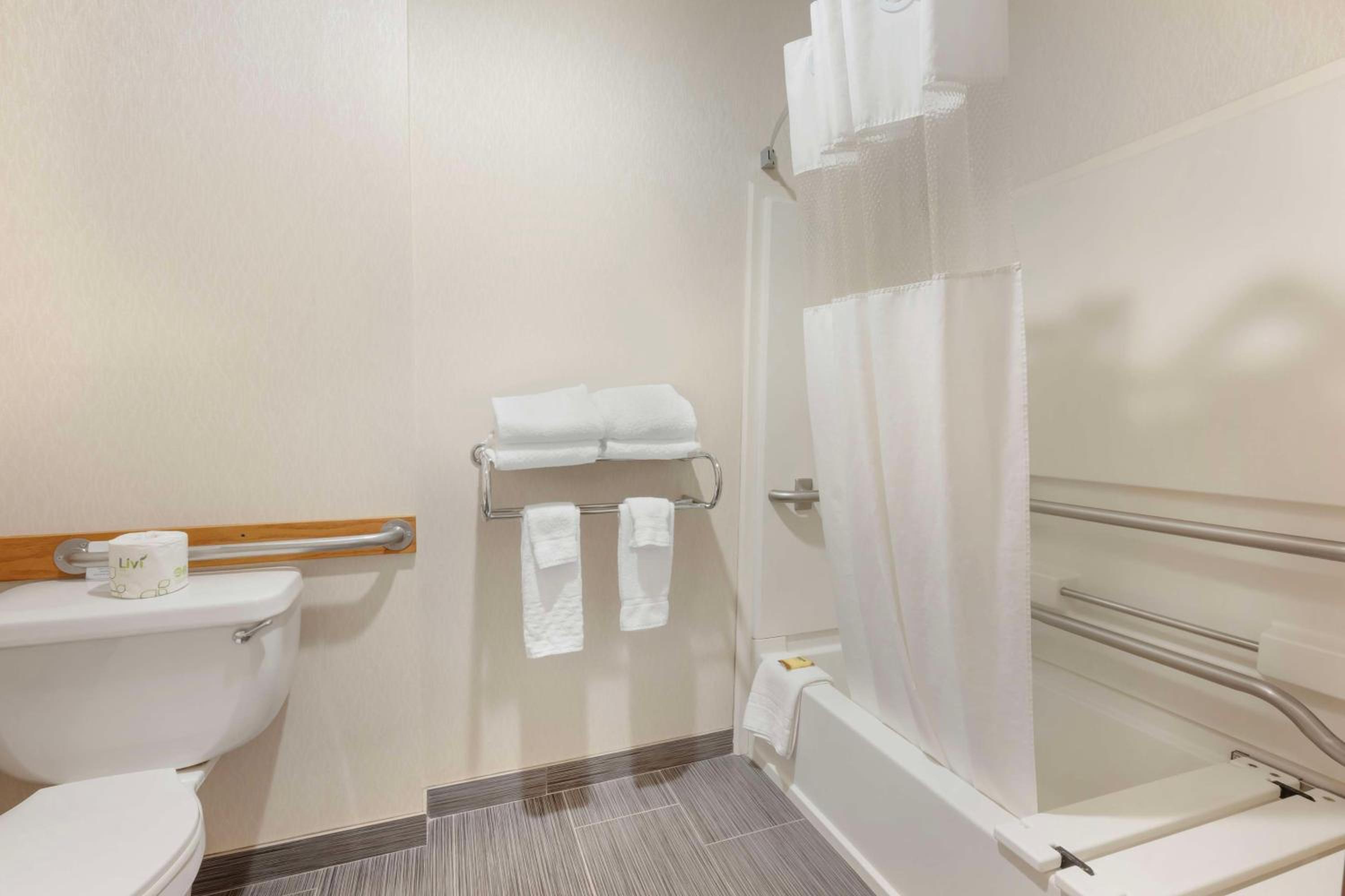 Queen Room with Bath Tub - Mobility Accessible/Non-Smoking - Photo 4