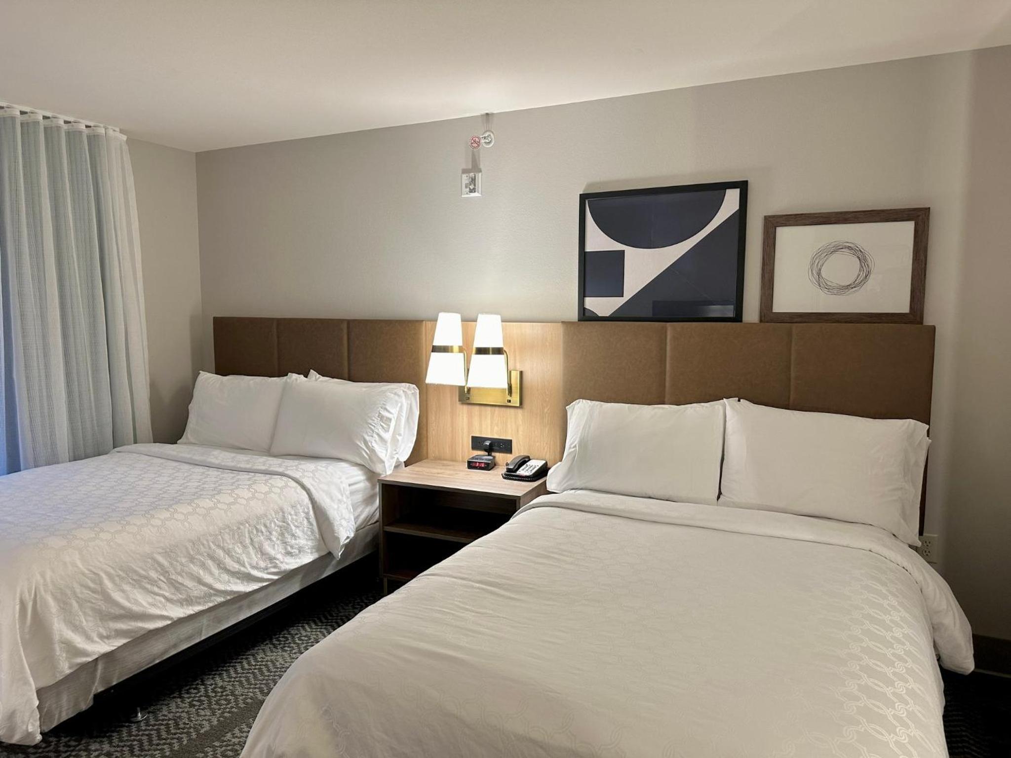 One-Bedroom Suite - Photo 6