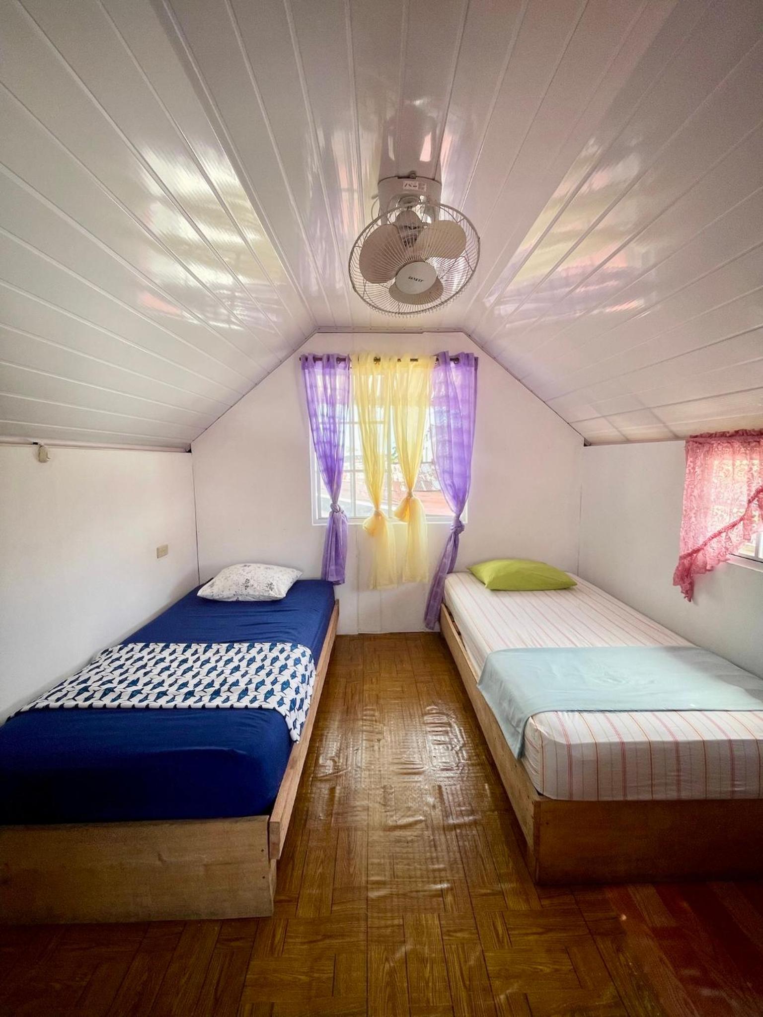 Single Bed in 4-Bed Dormitory Room photo 1