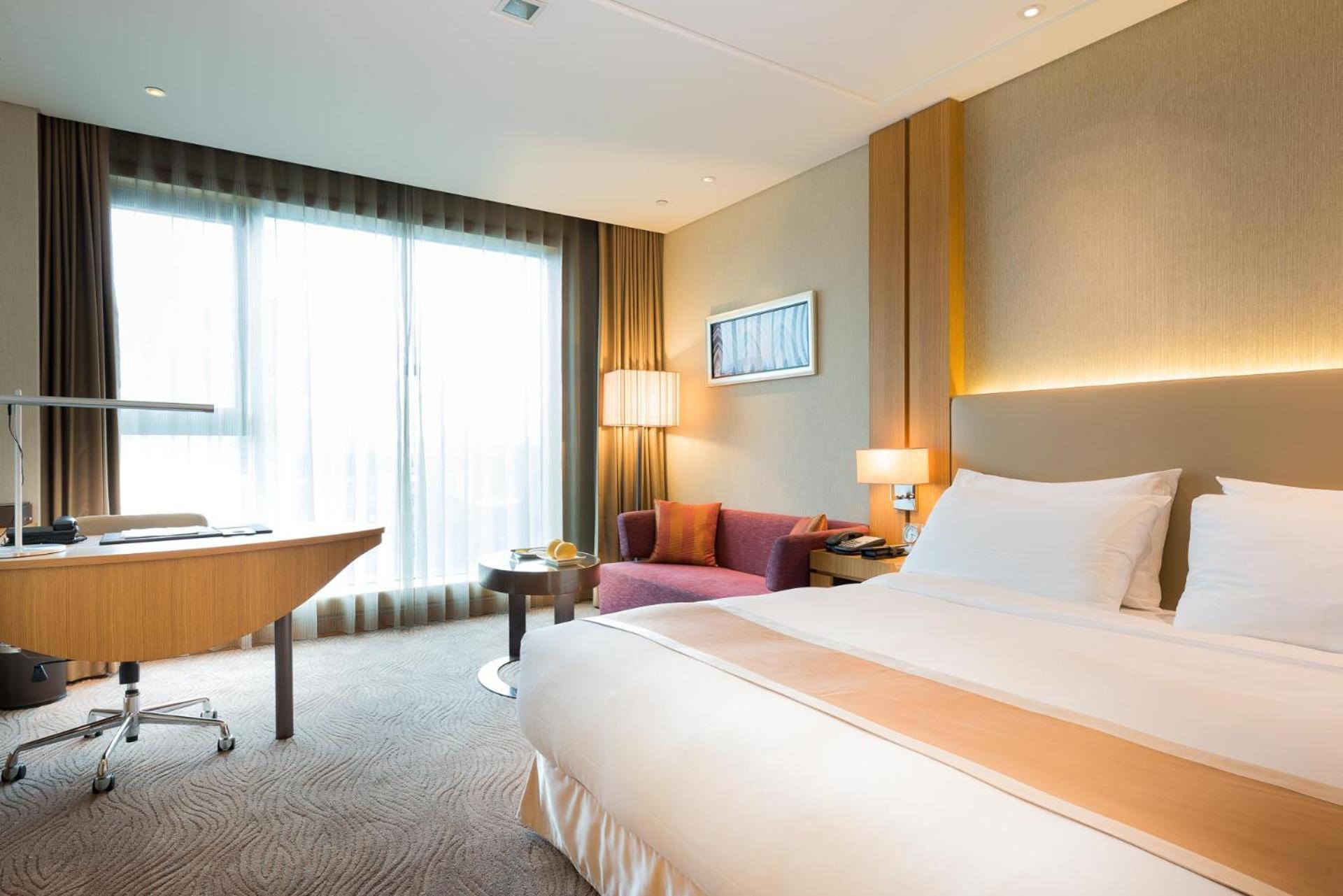 Deluxe Single Room photo 3