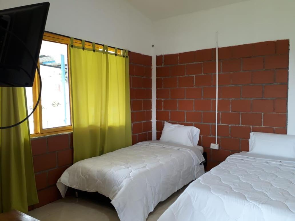 Twin Room photo 2