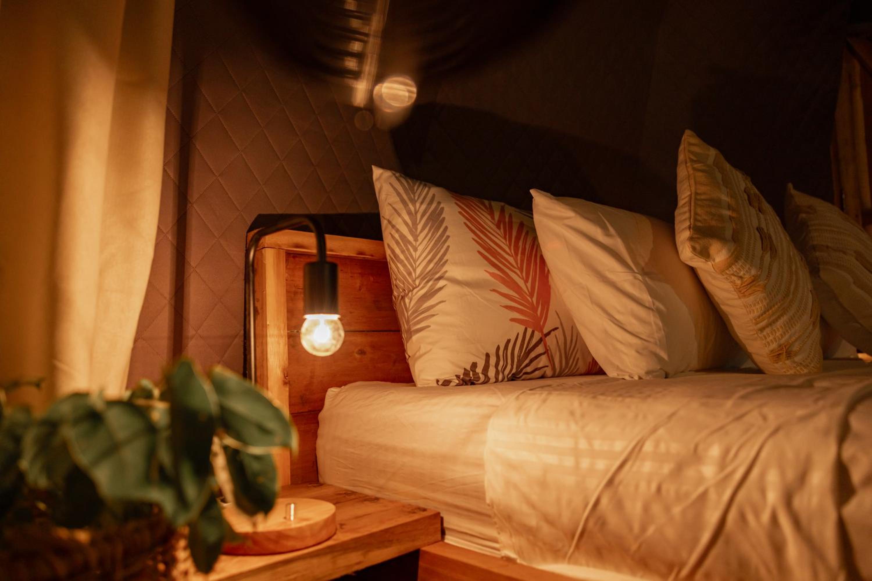 Tent photo 1