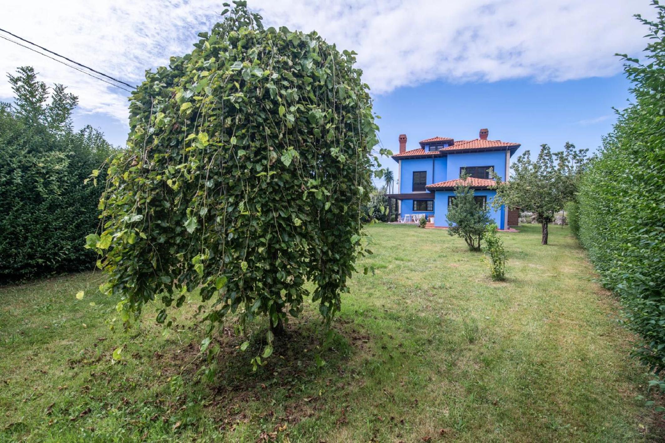 Four-Bedroom House photo 3