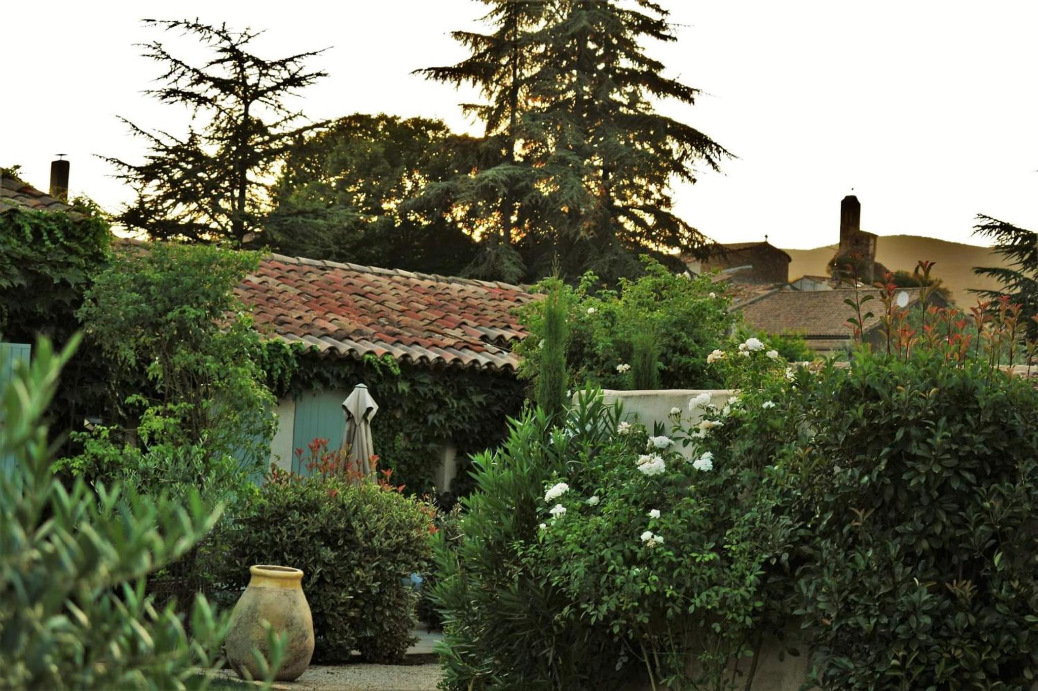 Studio with Garden View photo 1
