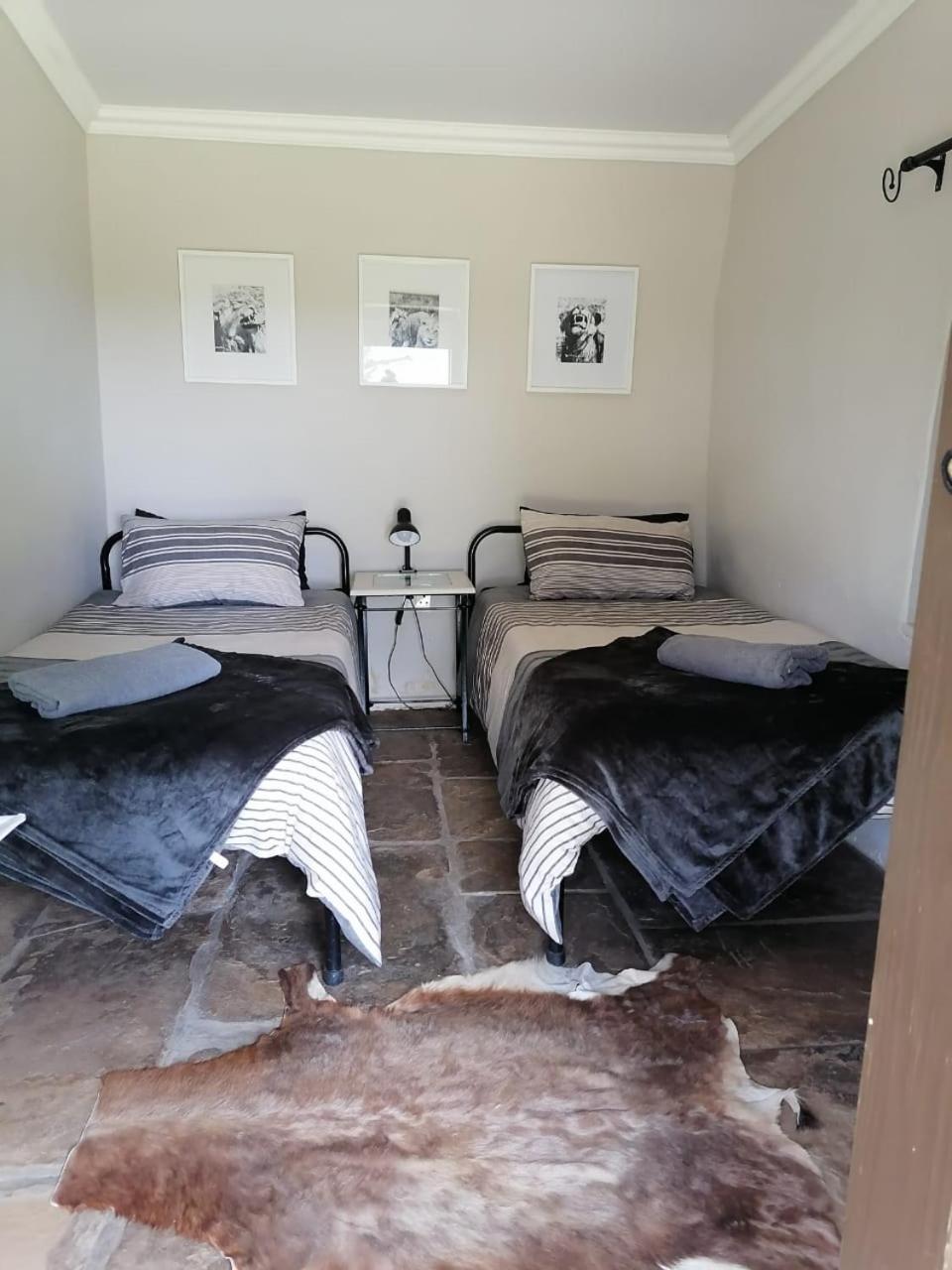 Twin Room photo 3