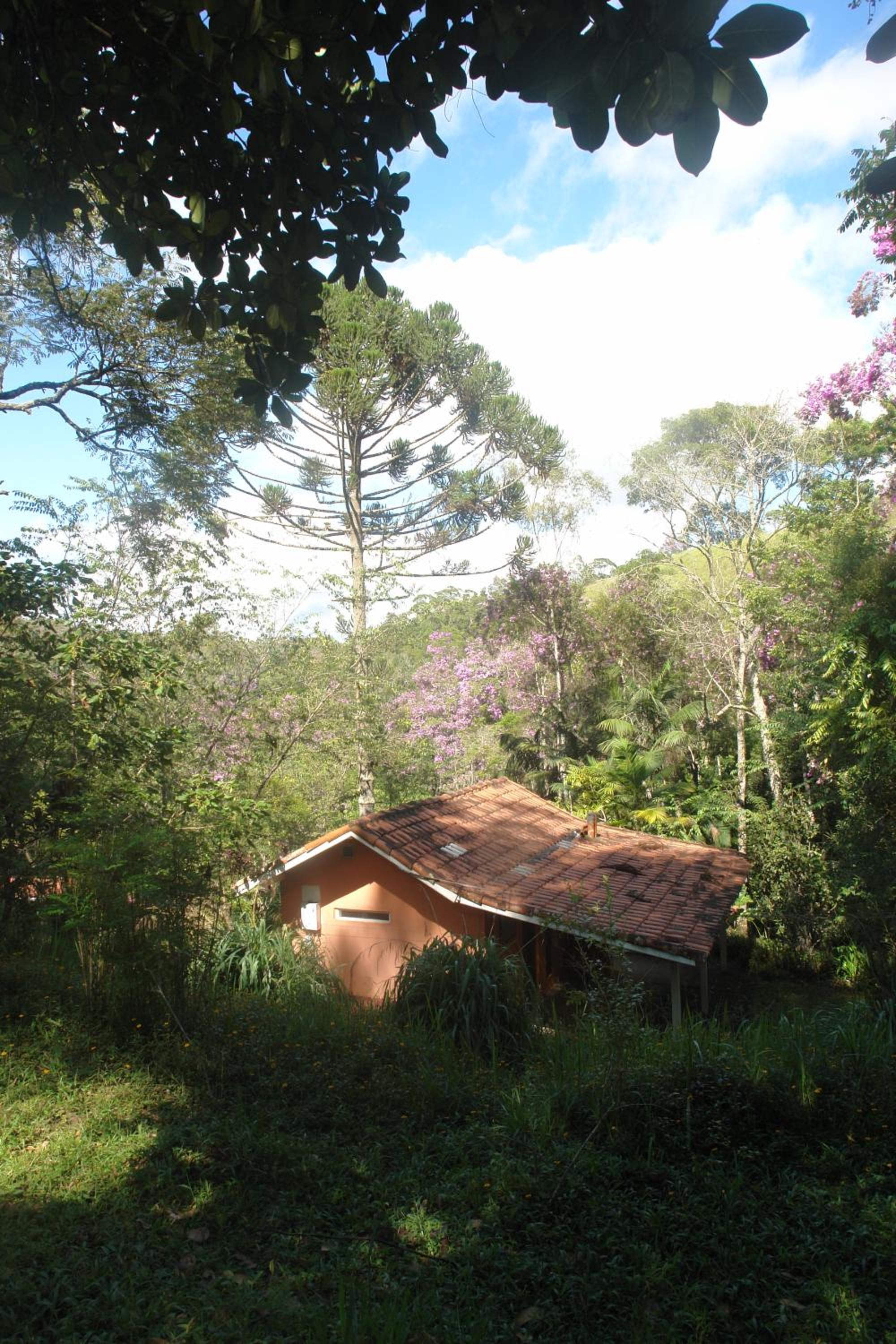 Chalet photo 2