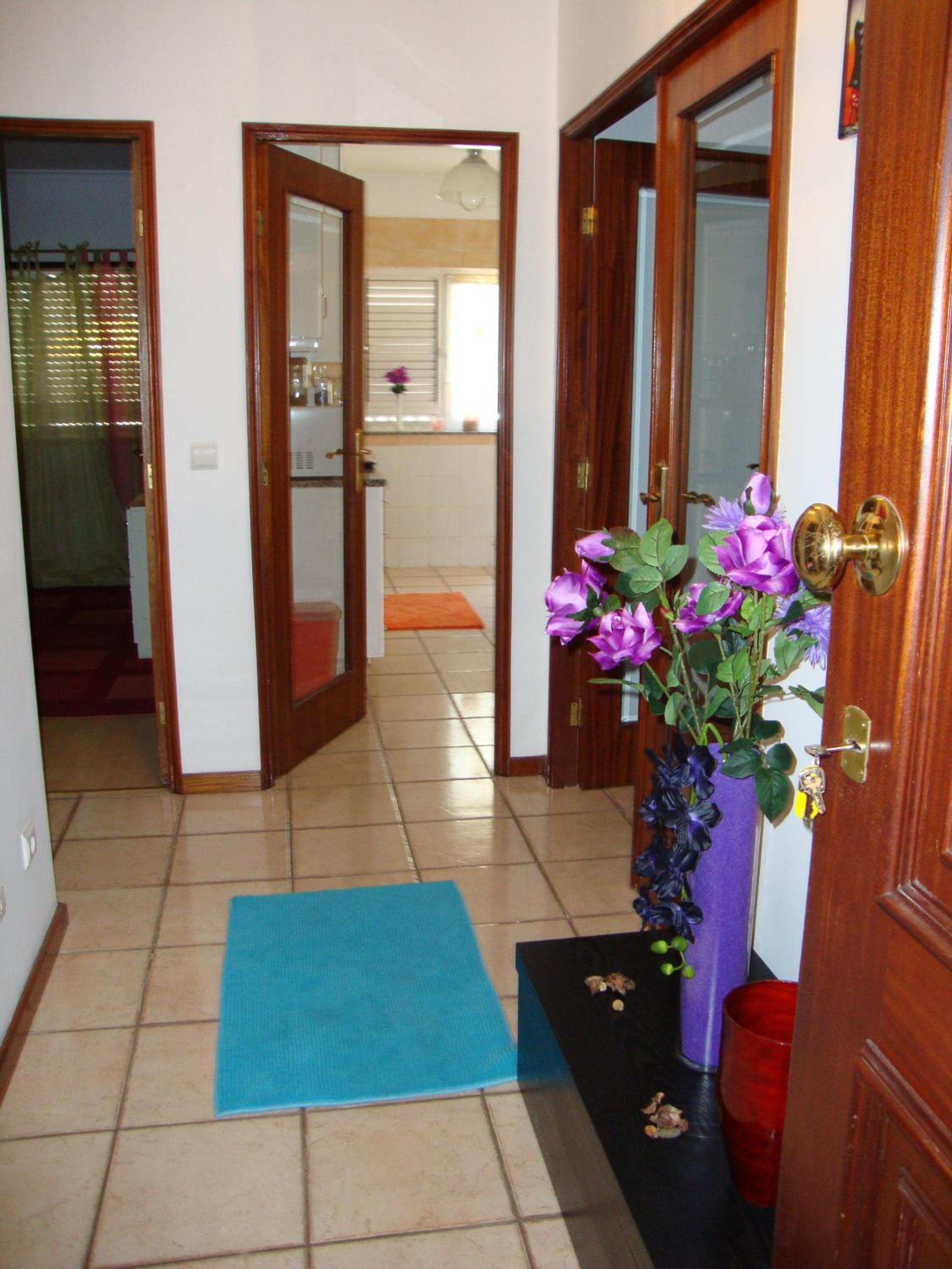 Apartment with Terrace photo 3