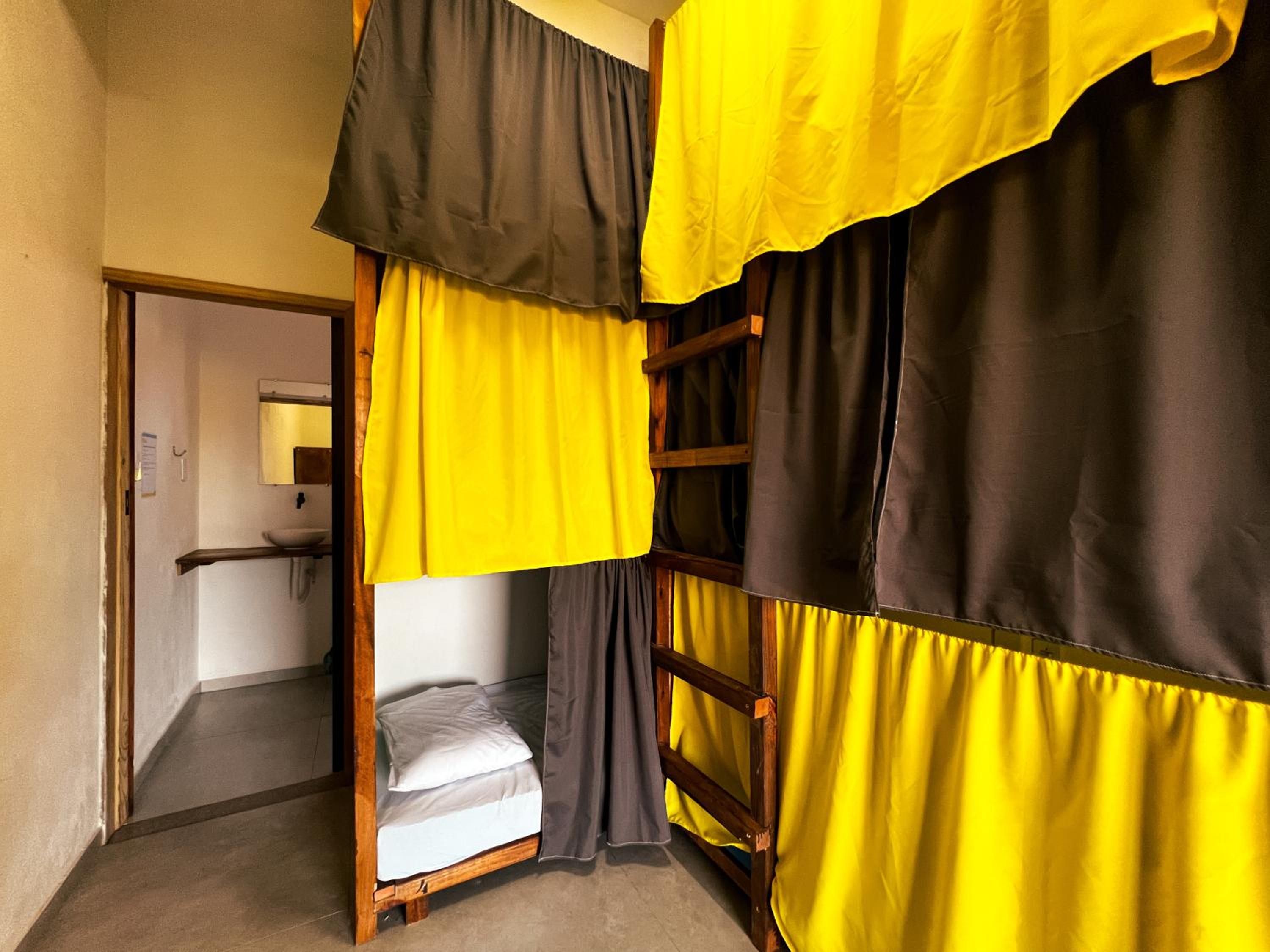 Single Bed in Female Dormitory Room photo 1