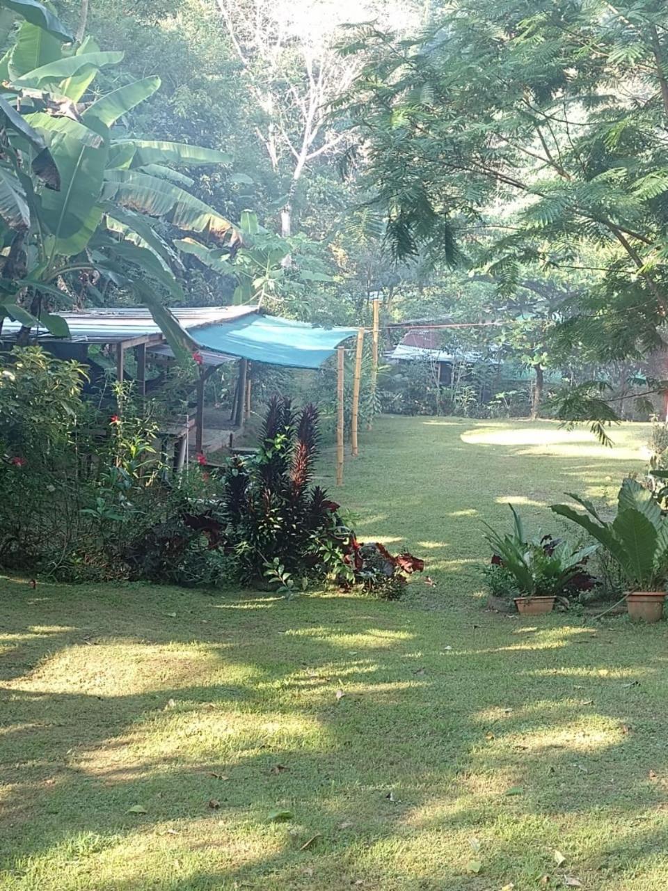 Tent photo 1