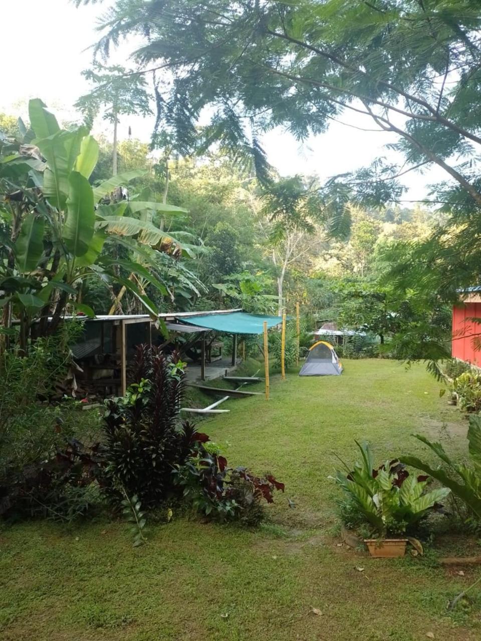 Tent photo 2