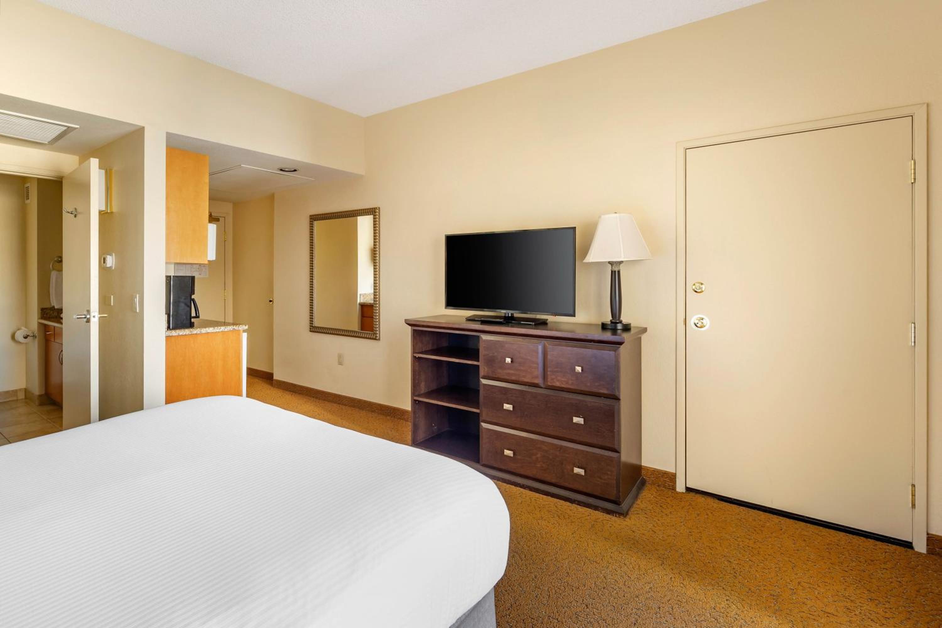 STUDIO 1 QUEEN MURPHY BED WITH BALCONY - Photo 2
