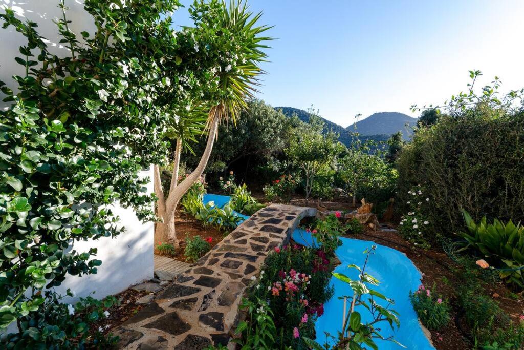 Three-Bedroom Villa photo 3