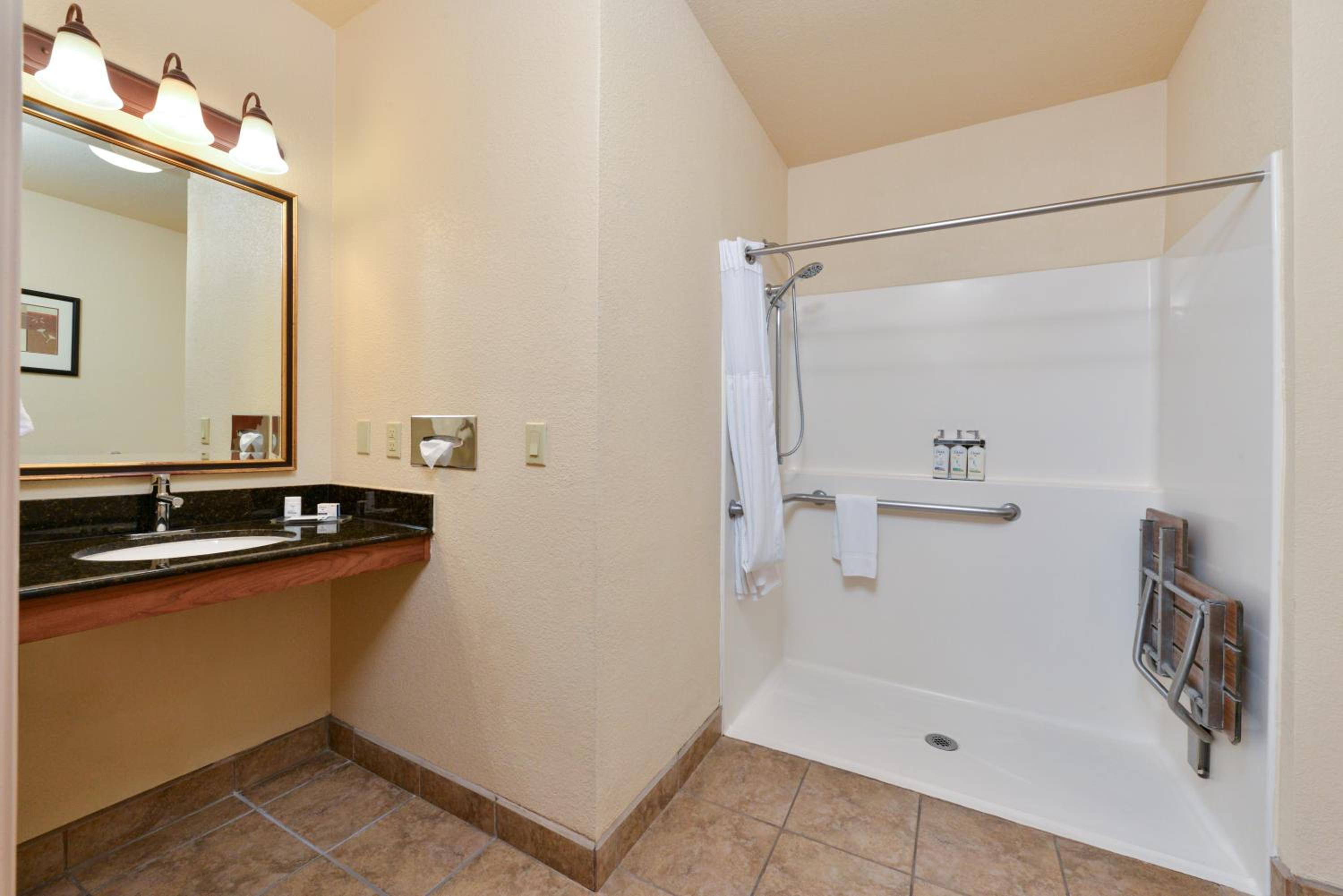 One-Bedroom Suite - Communications/Mobility Accessible - Photo 12