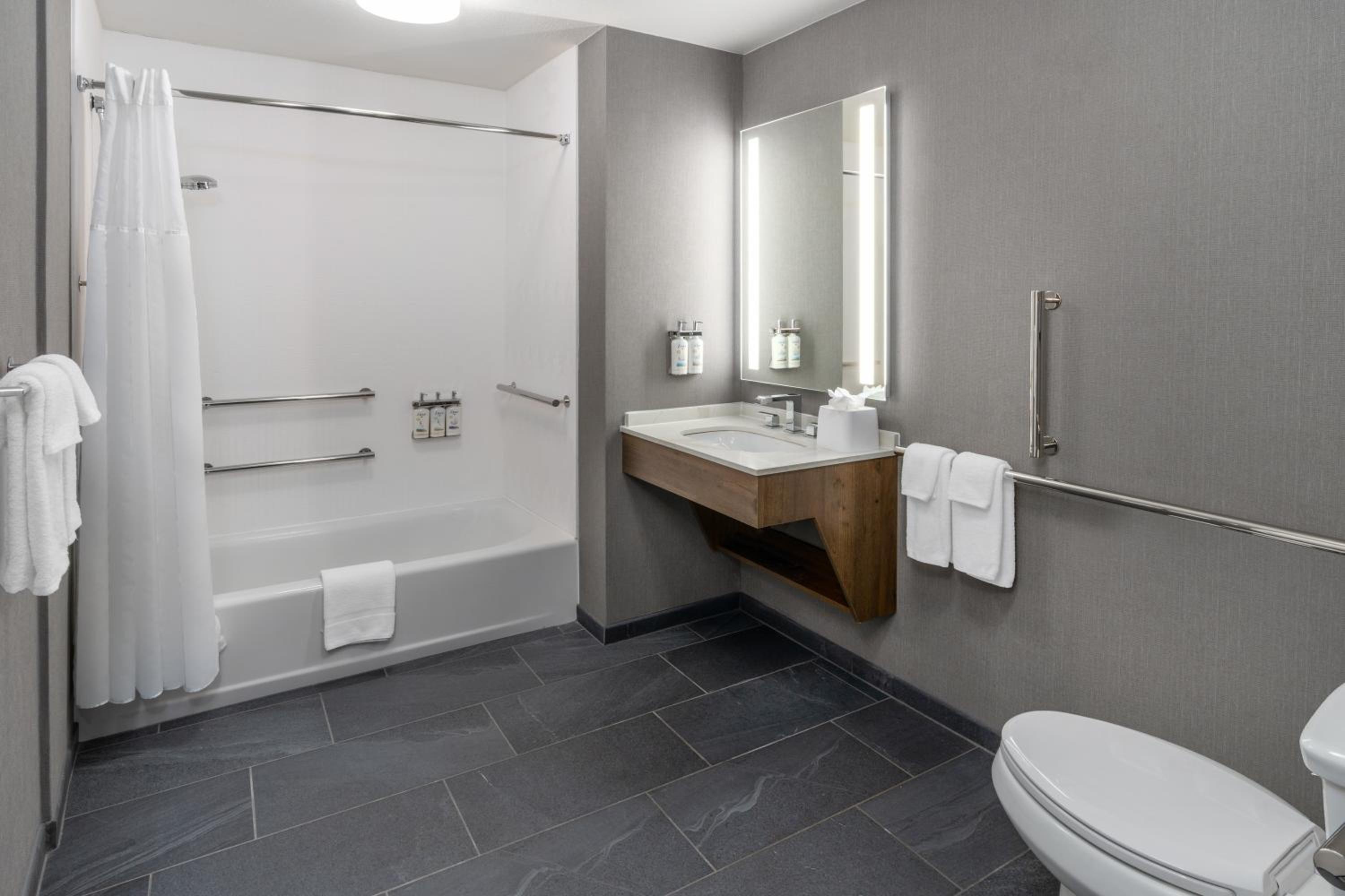 King Suite - Disability Access - Photo 4