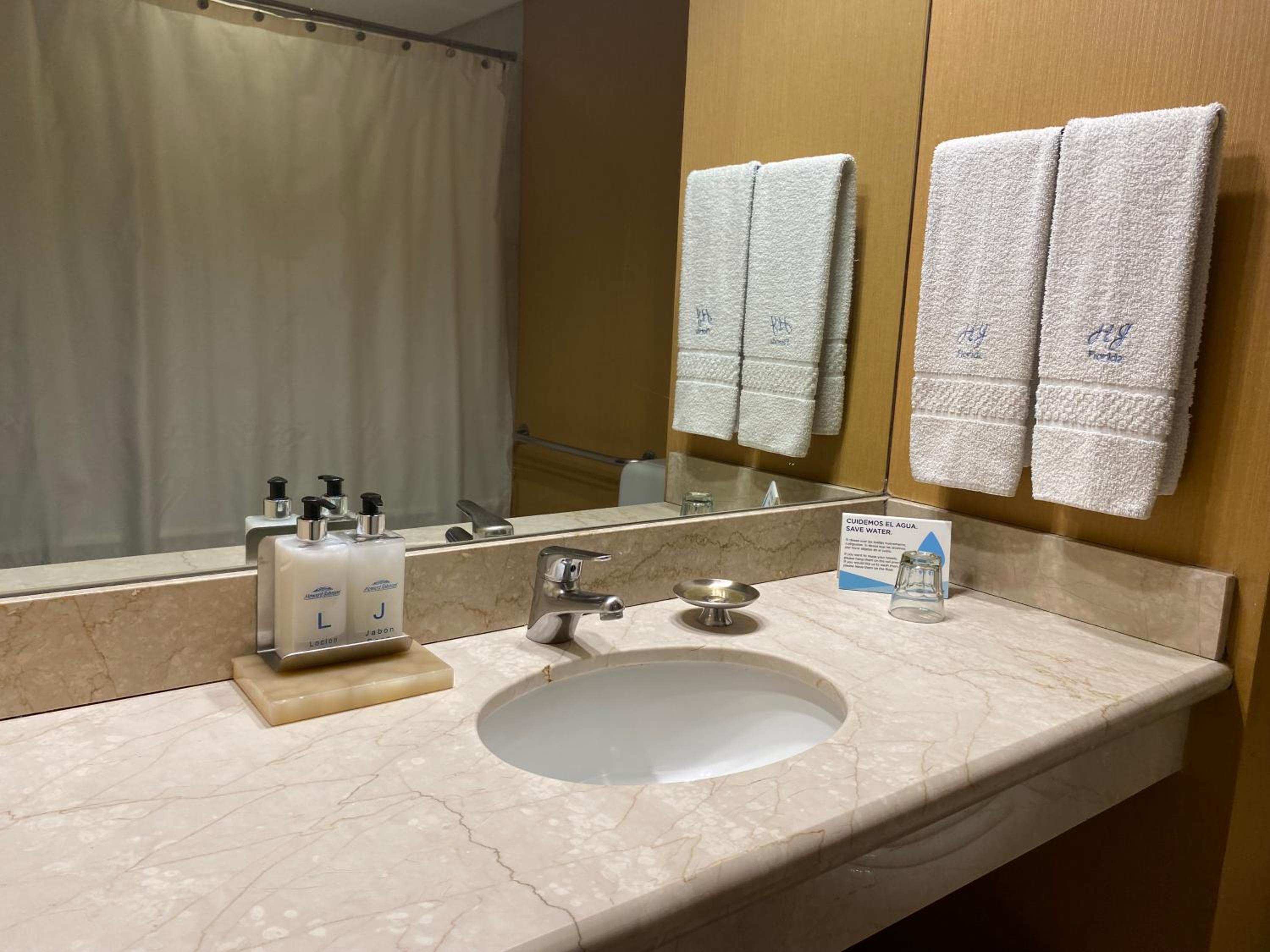 Mobility Accessible Queen Room