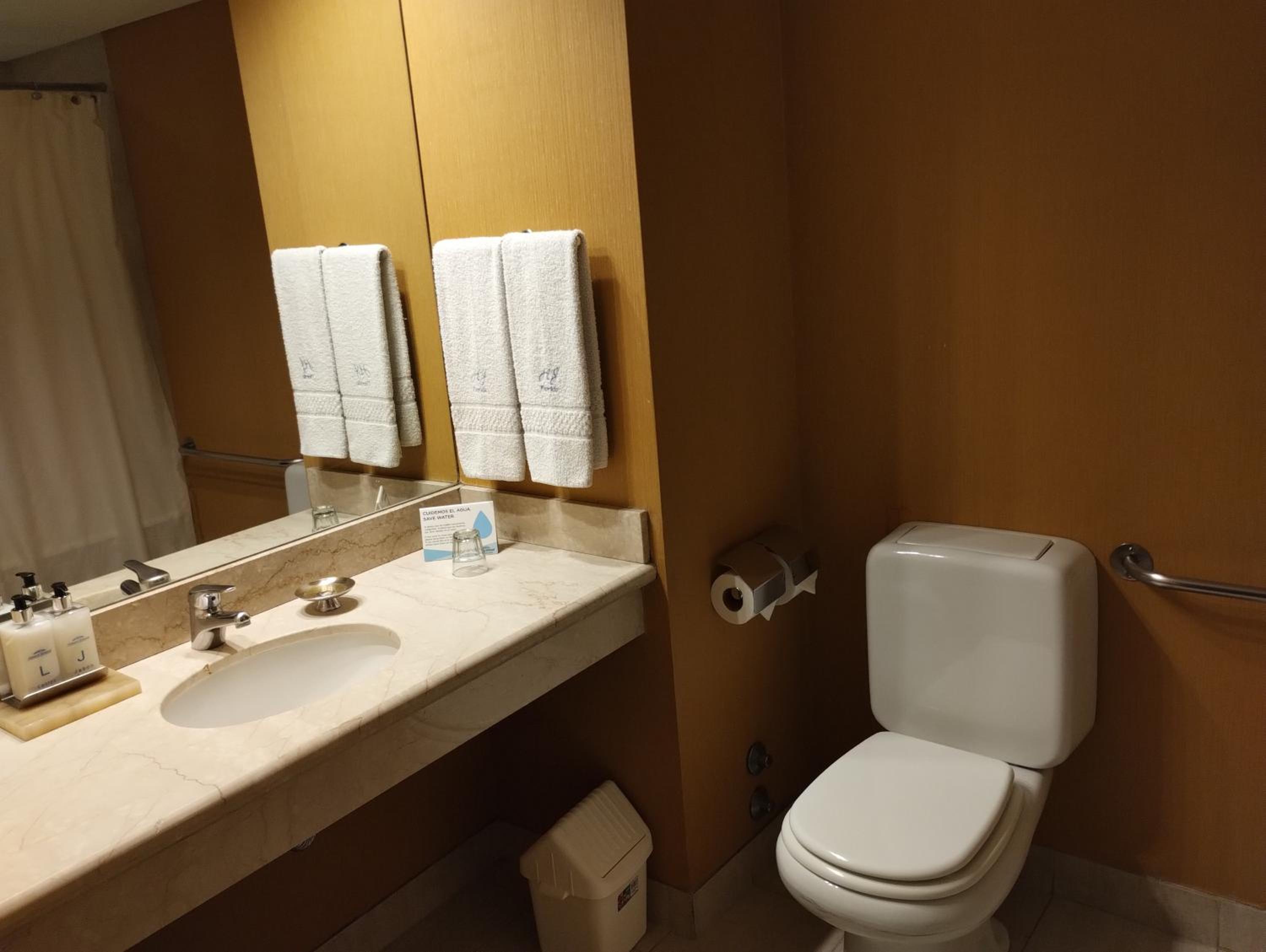 Mobility Accessible Queen Room