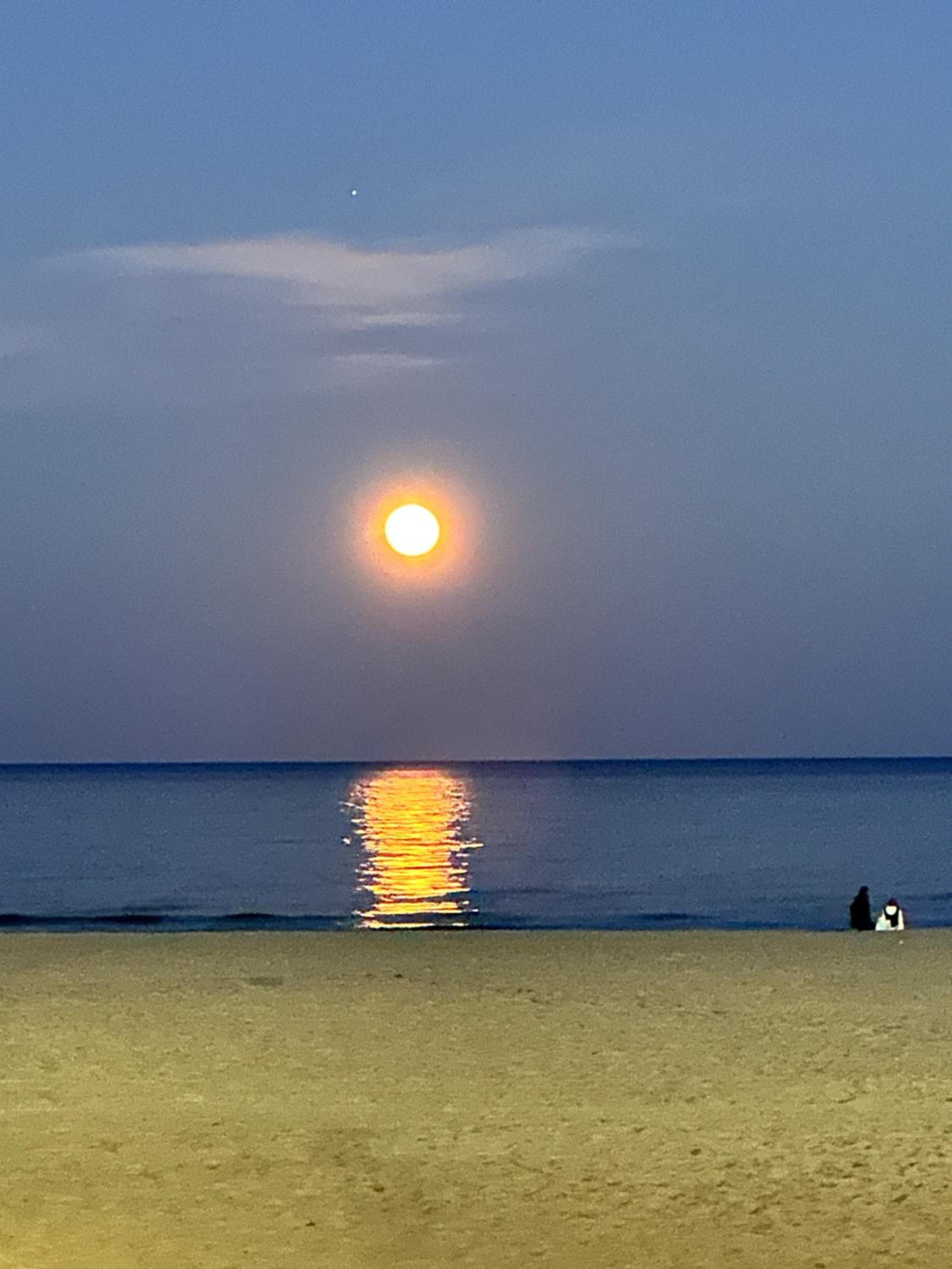Квартира с одной спальней photo 2