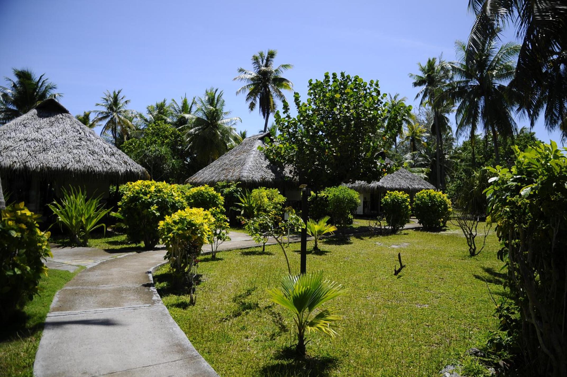 Double Room with Garden View photo 3