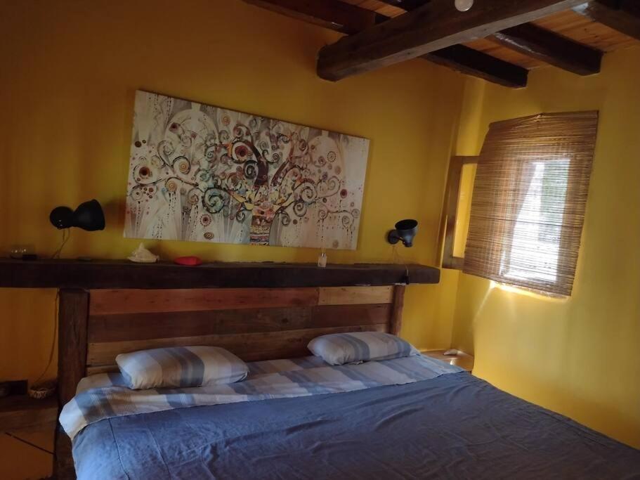 One-Bedroom House photo 1
