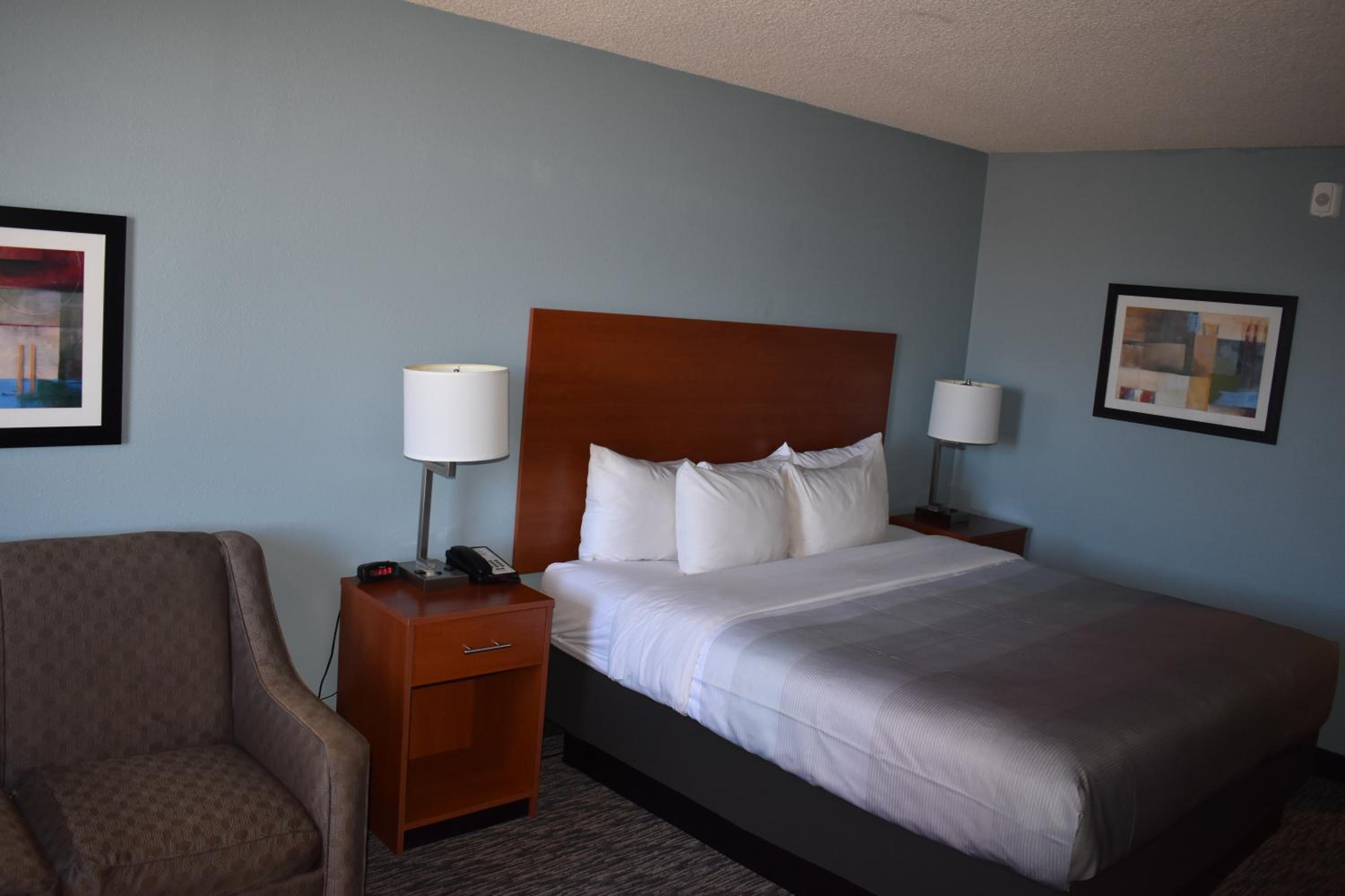 King Room - Non-Smoking/Pet Friendly - Photo 1