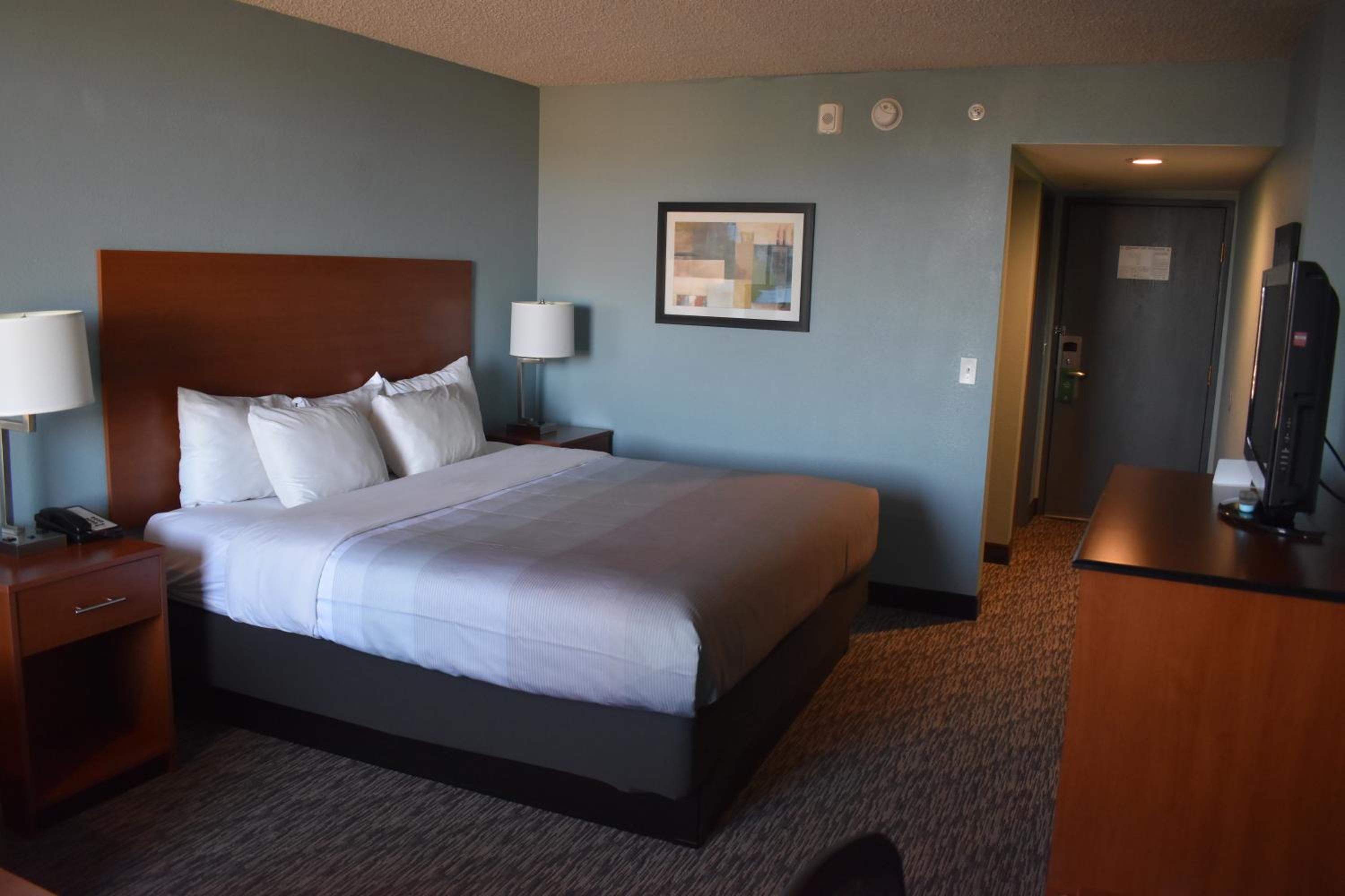 King Room - Non-Smoking/Pet Friendly - Photo 4