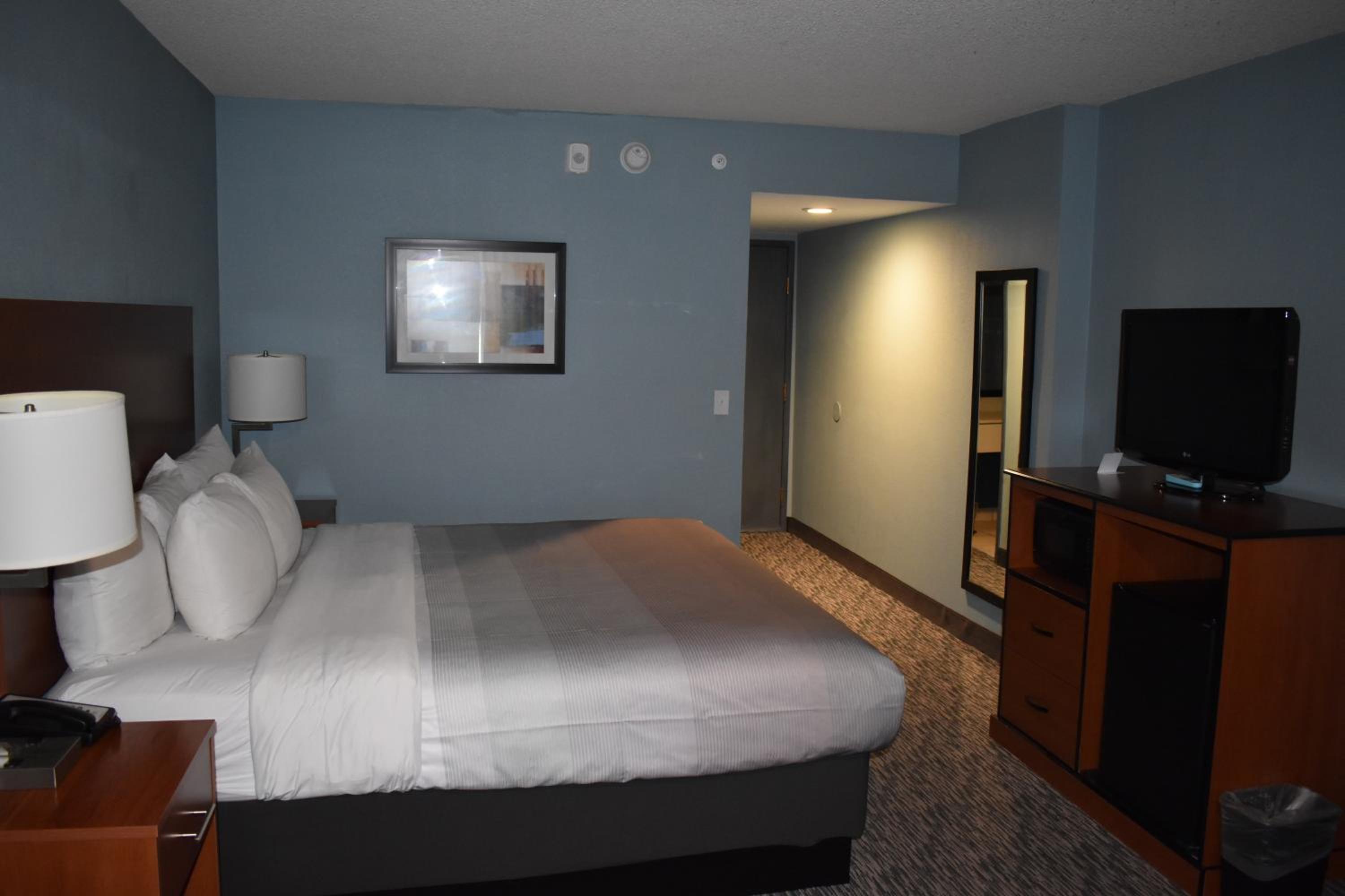 King Room - Non-Smoking/Pet Friendly - Photo 2