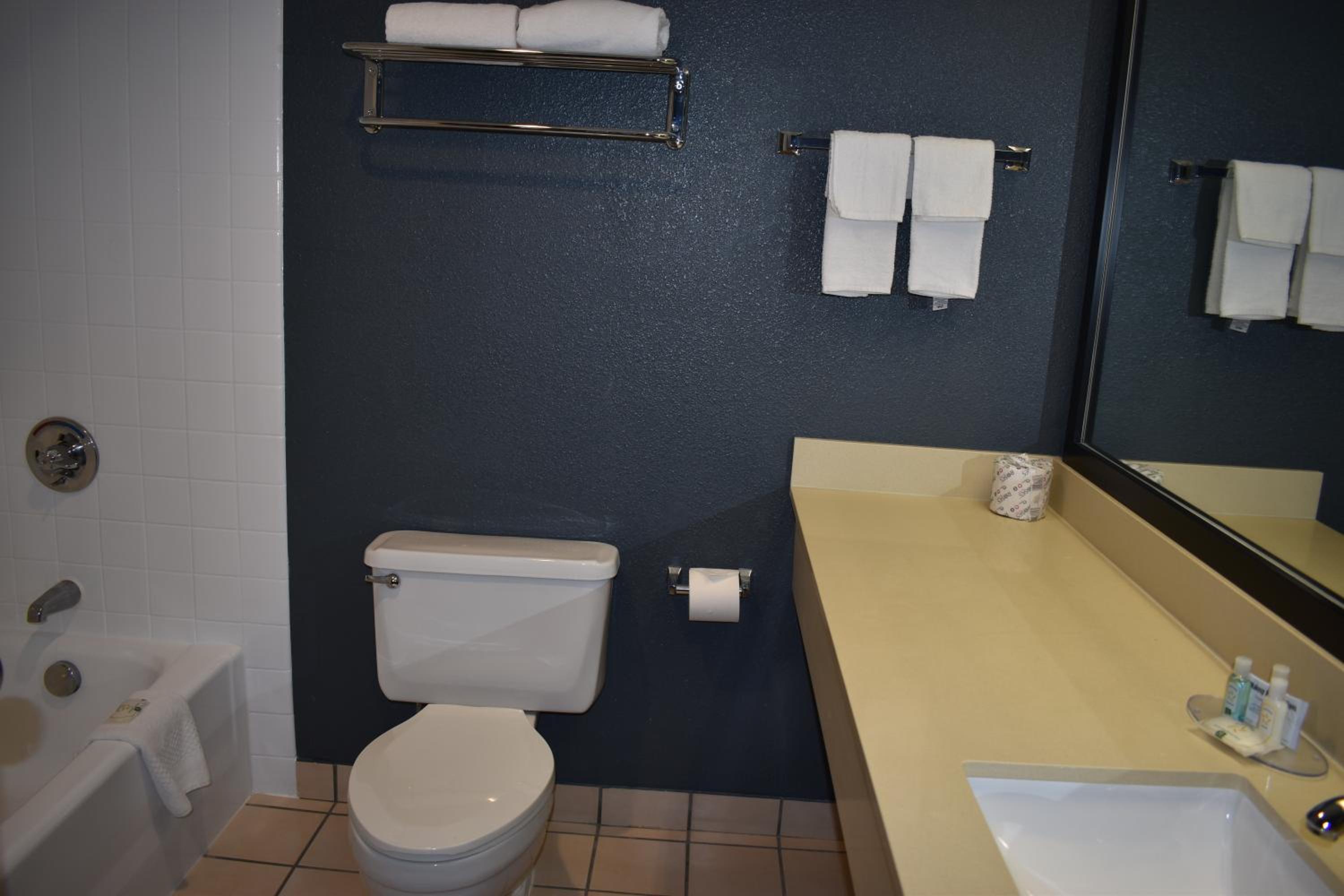 King Room - Non-Smoking/Pet Friendly - Photo 3