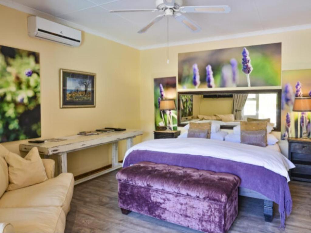 Standard Suite