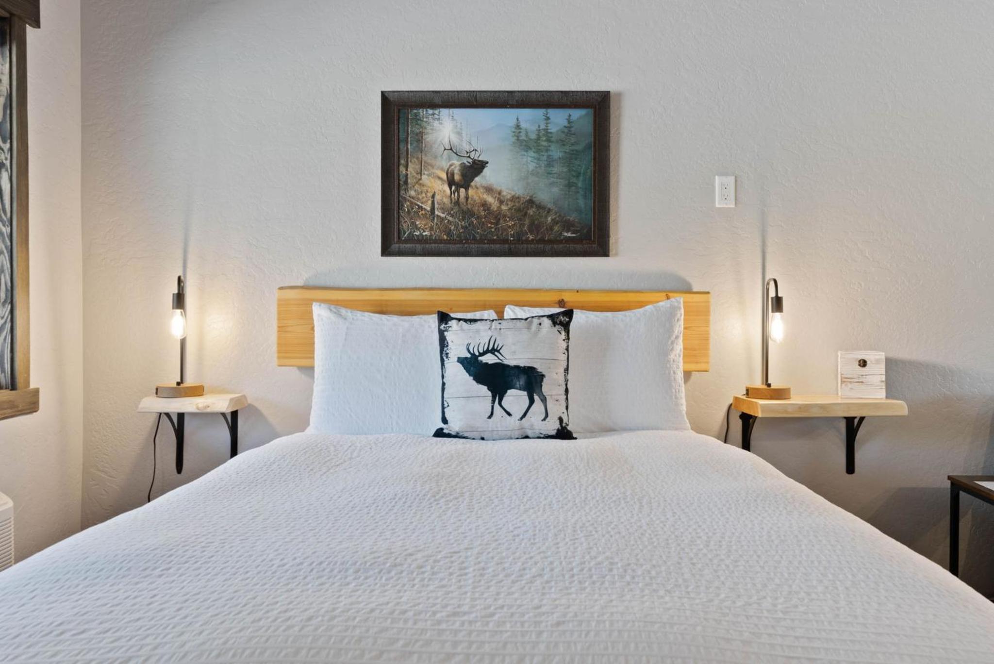 Elk Suite 5
