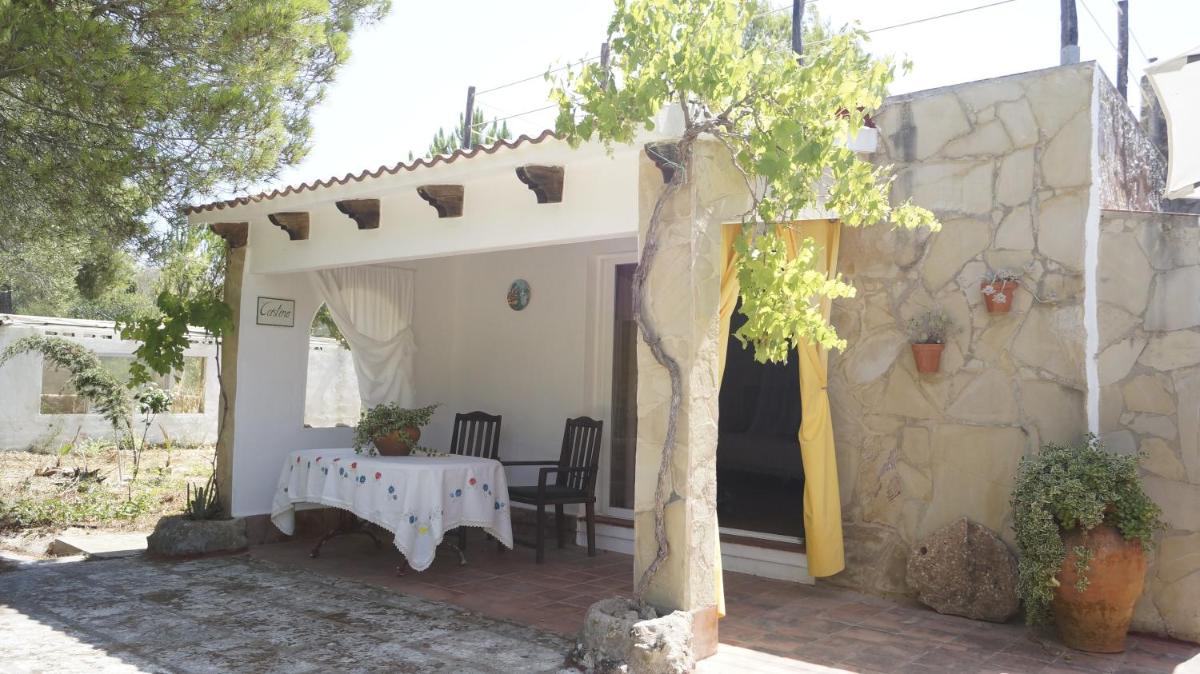 Holiday Home photo 1